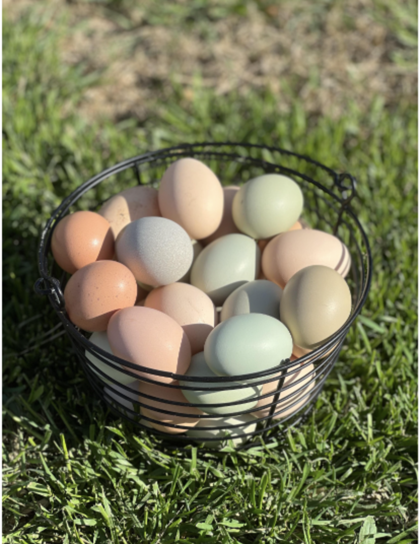 Organic Pasture Raised Eggs (1 dozen)