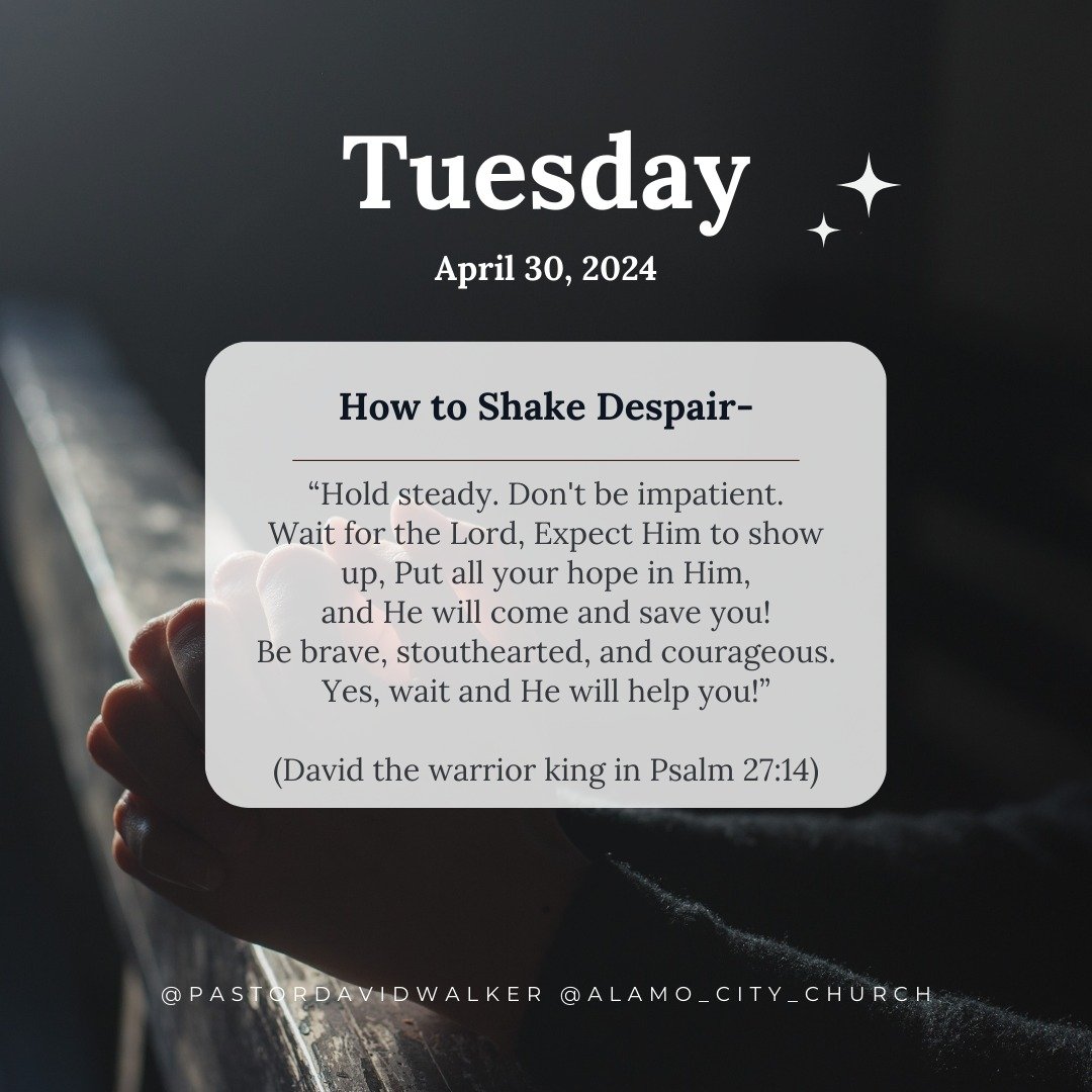 How to Shake Despair &ndash; 
&ldquo;Hold steady. Don't be impatient.
Wait for the Lord, Expect Him to show up, Put all your hope in Him,
and He will come and save you!
Be brave, stouthearted, and courageous.
Yes, wait and He will help you!&rdquo;
(D