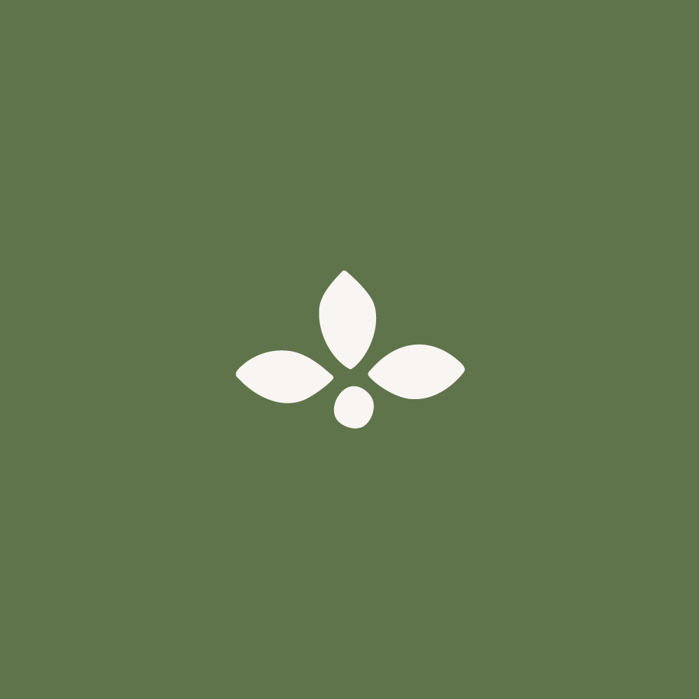 Nourish-With-Tess-wellness-Brand-16.png