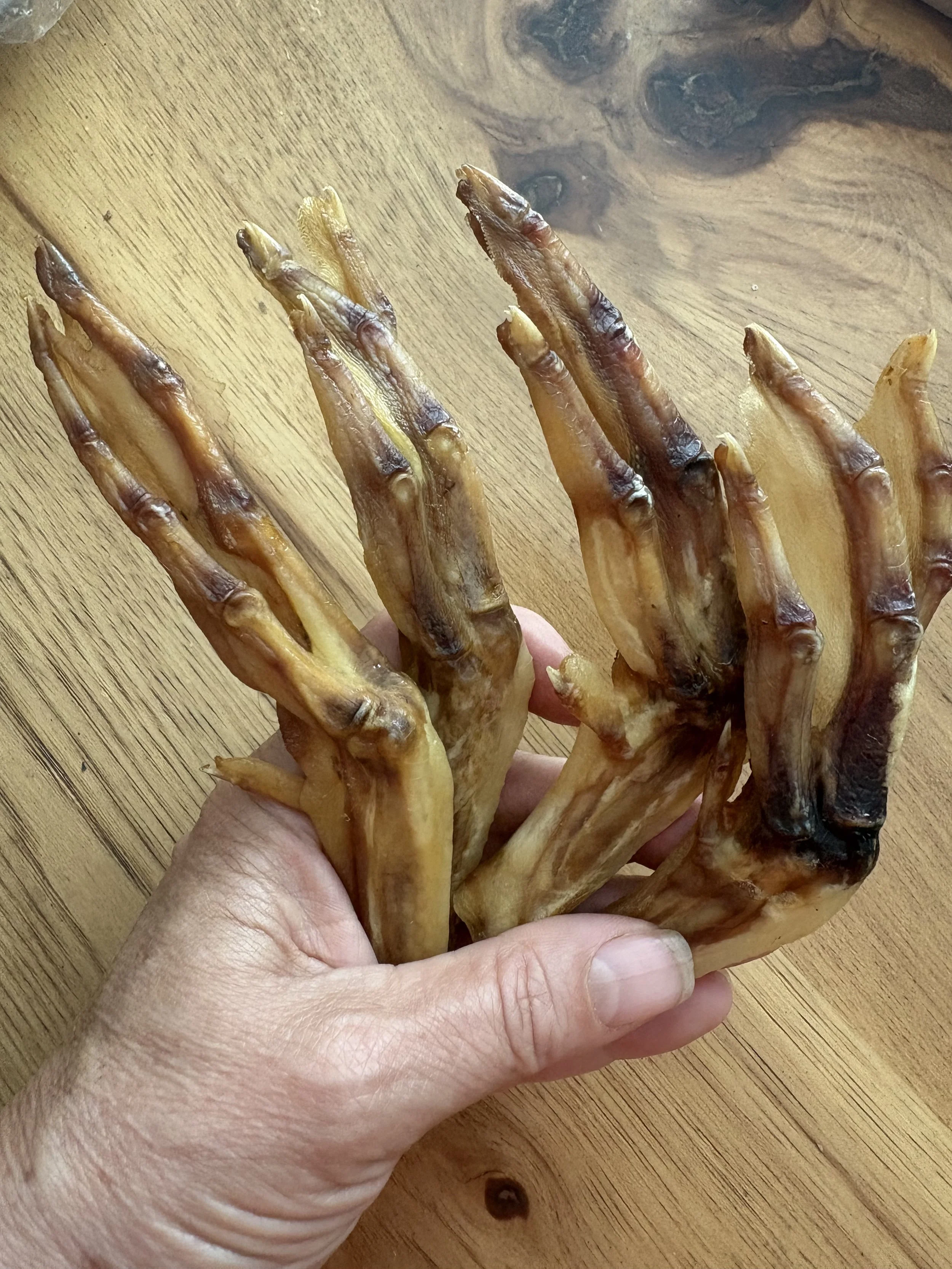 Duck Feet.jpeg
