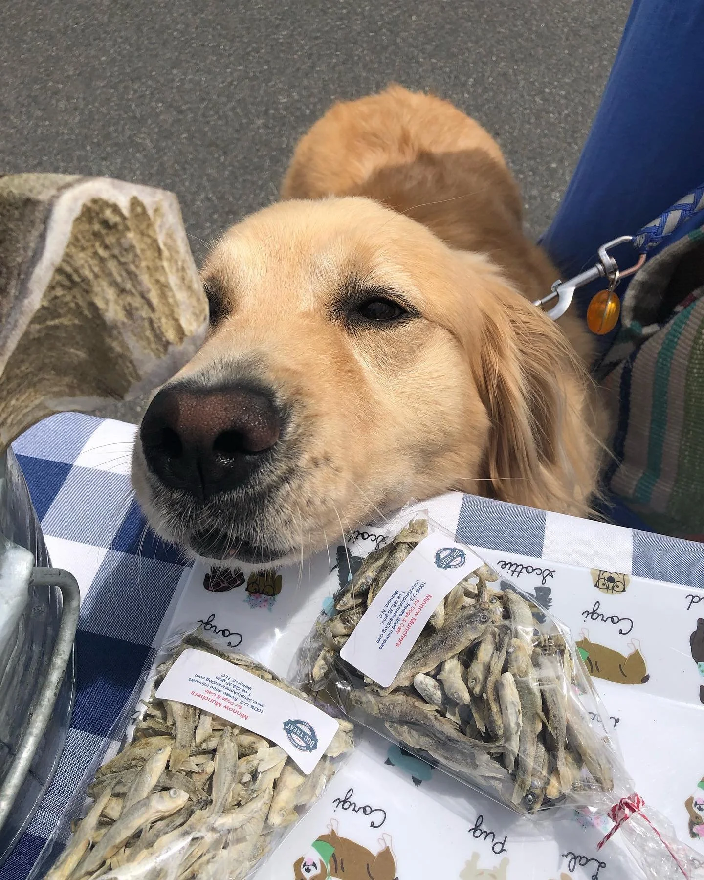 Simply American Dog Treat Truck Mobile Treat Truck For Dogs in North Carolina