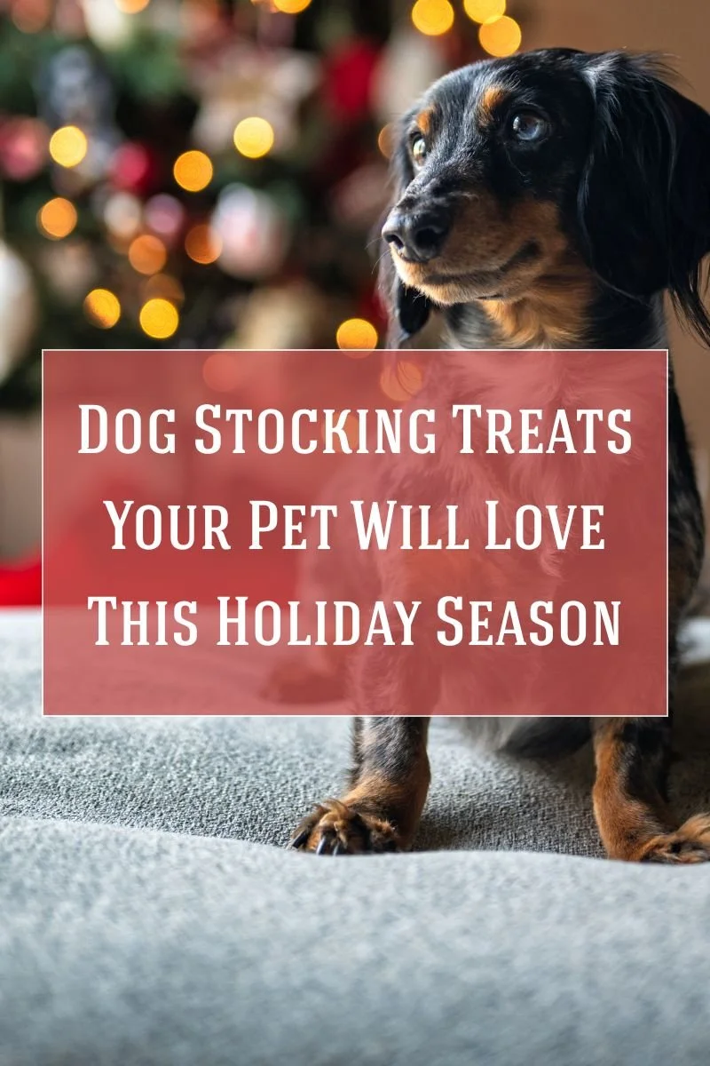 Dog Stocking Treats Your Pet Will Love This Holiday Season