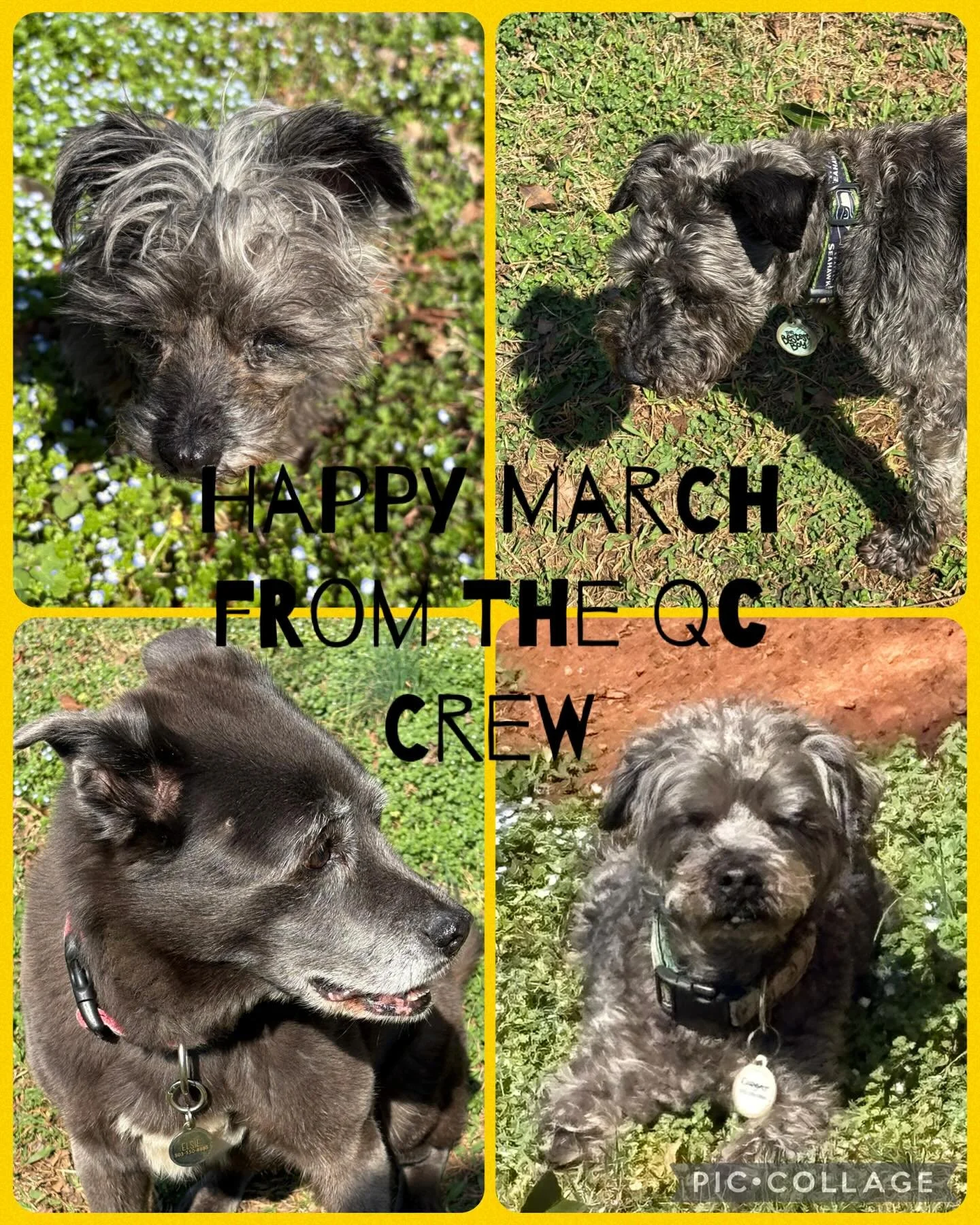 The QC Crew wishes you a warm, sunny March&hellip;. #qc #inhouse #tastetesters #march