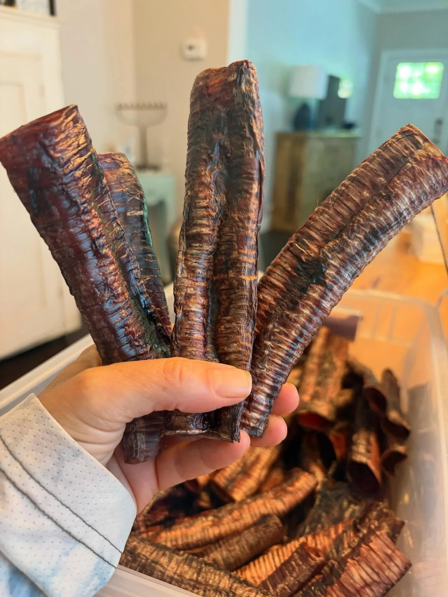 RESTOCK ALERT: Ostrich Tubes! Sourced from our farm partner @southcarolinaostrich these tubes are crunchy, slightly chewy and are the perfect treat. 

PRO TIP: slather the inside with plain yogurt or natural peanut butter, freeze them give to your do