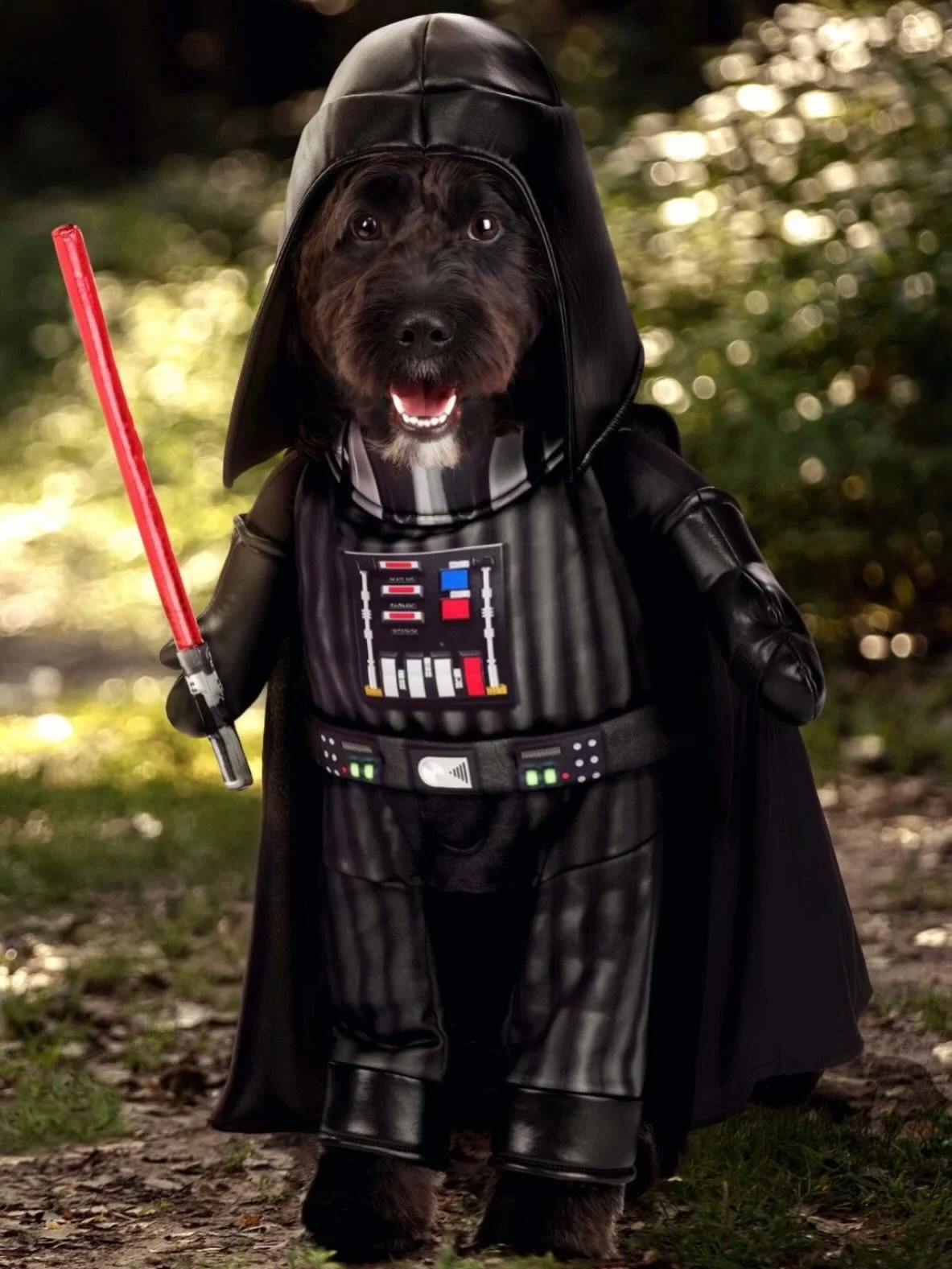 May the 4th be with you&hellip;#may4th #dogsofinstagram #dogtreats