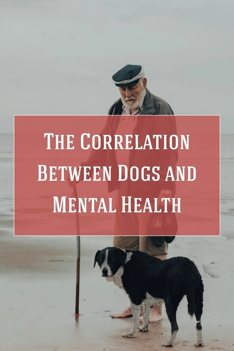 The correlation between dogs and mental health