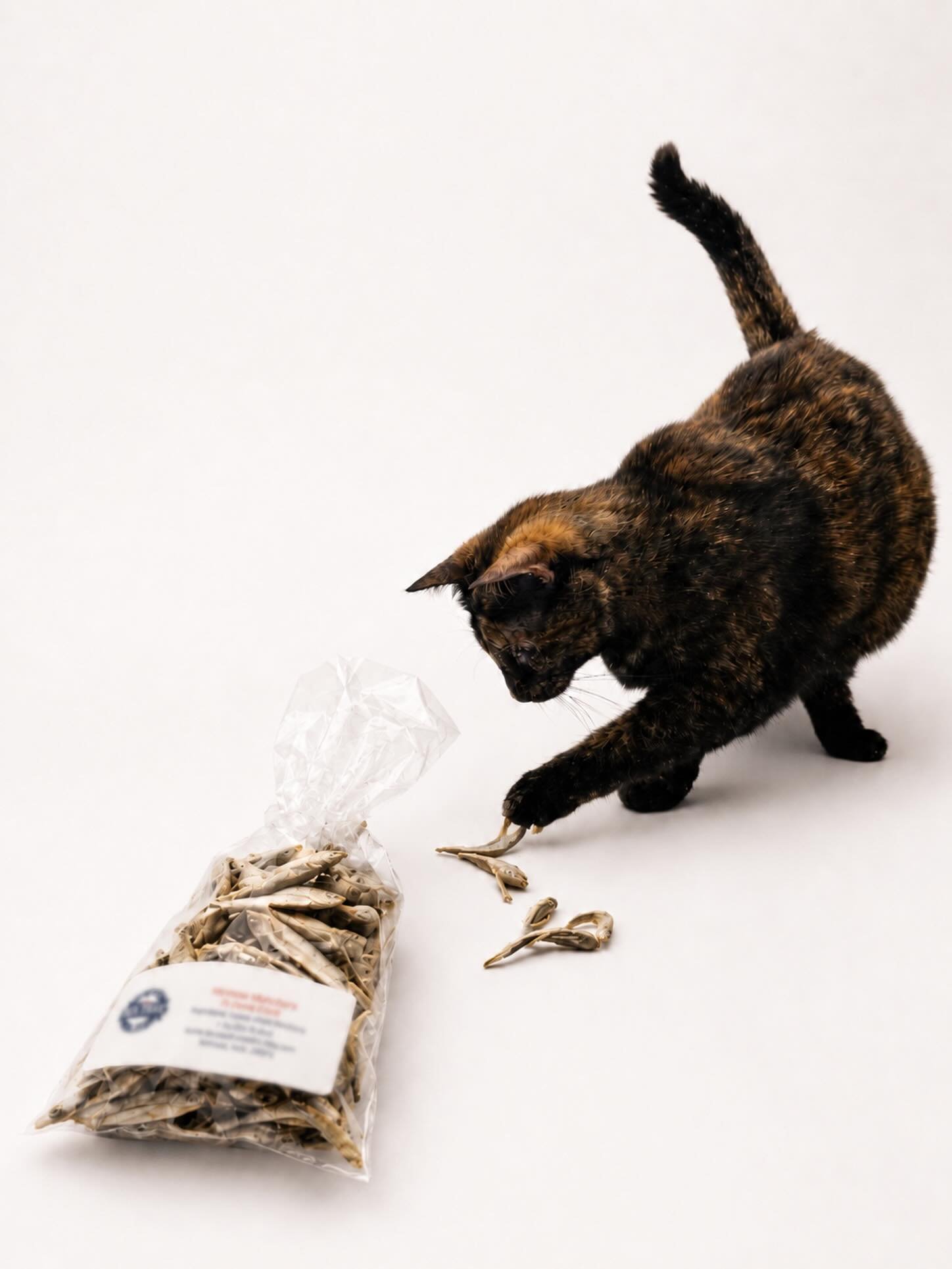 Mabel says cats love Minnow Munchers!! Freeze-dried Minnows are a couple of bites of YUM! Dogs and cats love them. Mildly aromatic, big flavor. Buy your bag of Minnow Munchers from the website or at this week&rsquo;s markets. Your kitty will thank yo