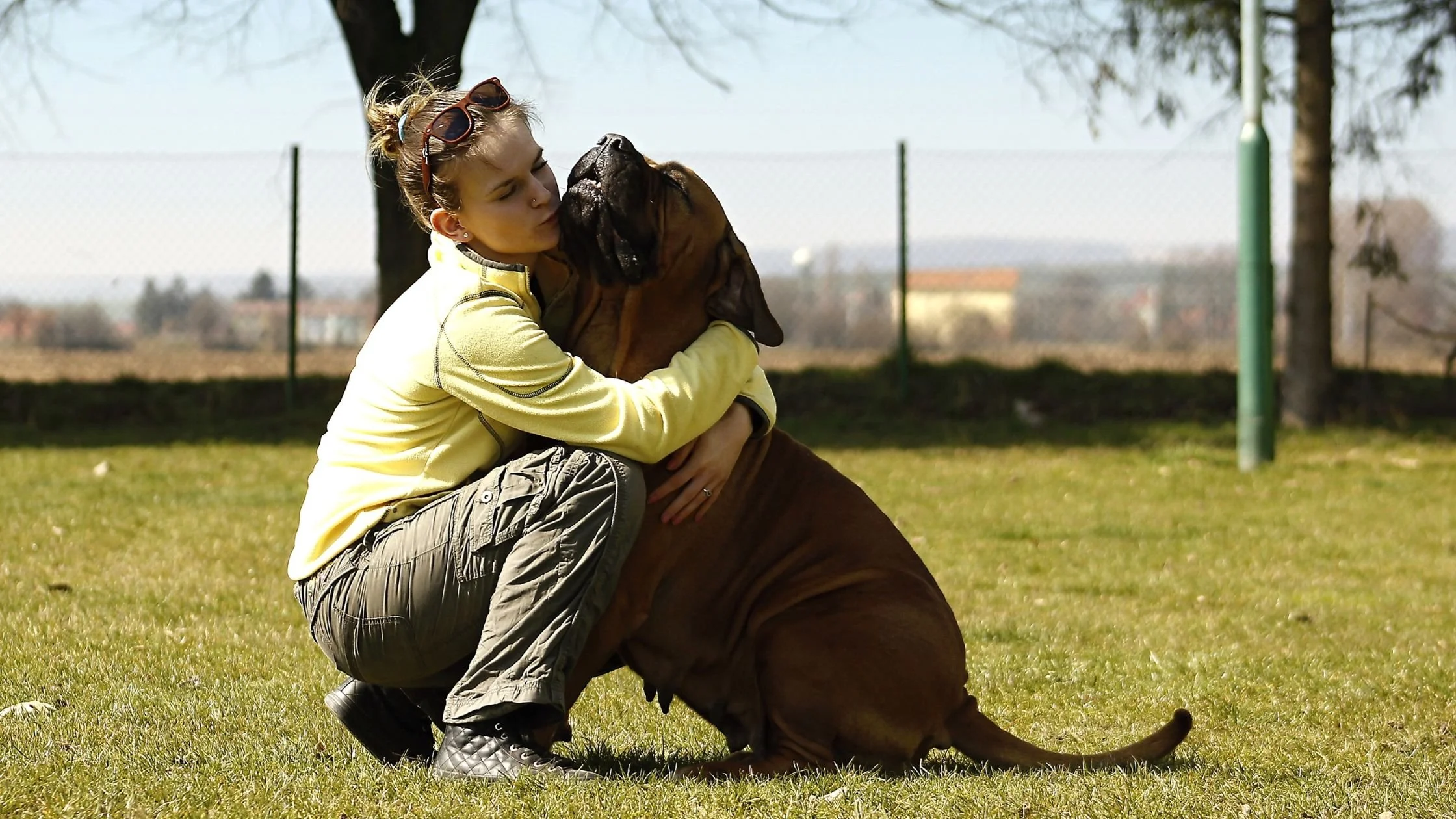 Girl hugging her dog outside showing how dogs reduce stress