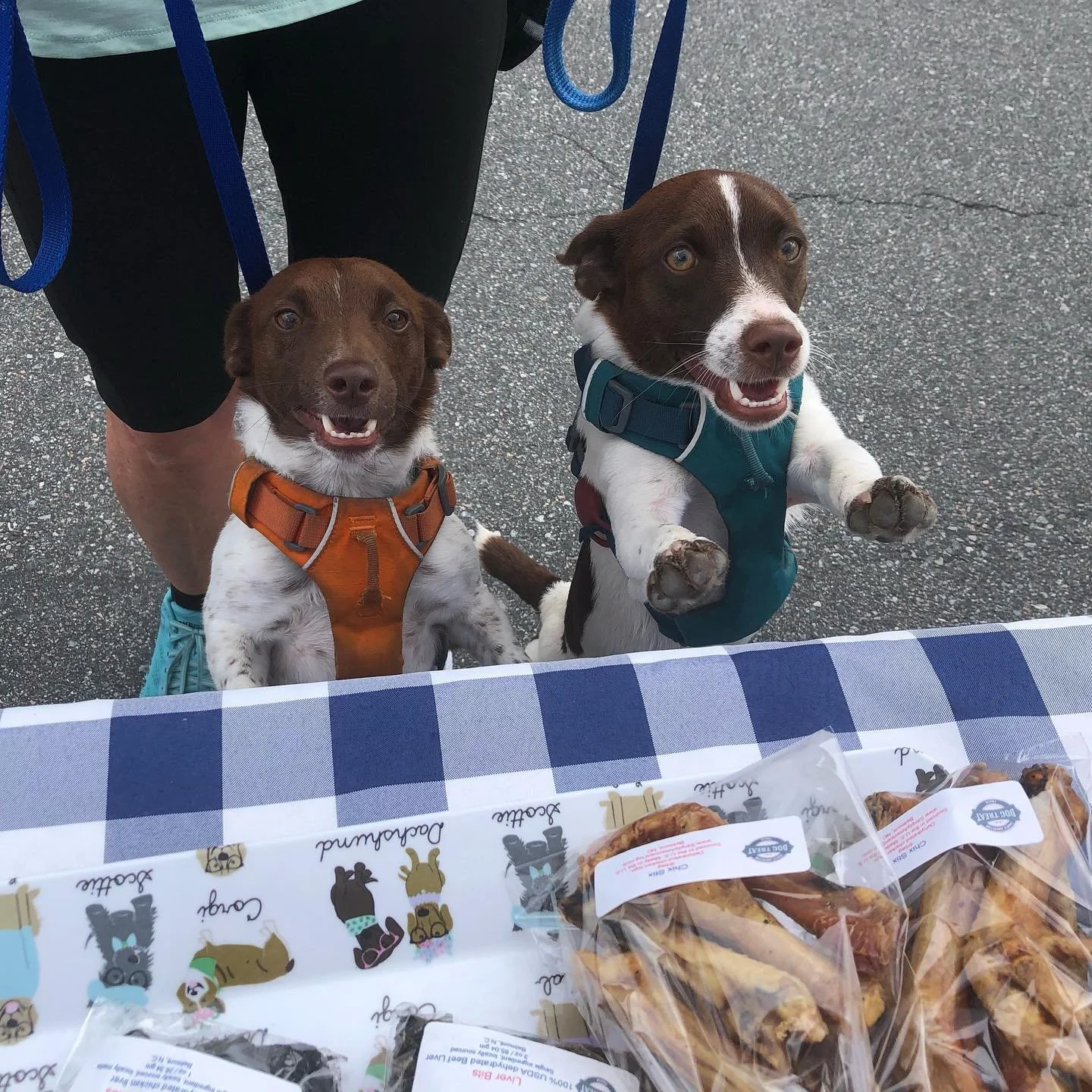 shop-all-natural-dog-treats-made-in-the-u-s-simply-american-dog