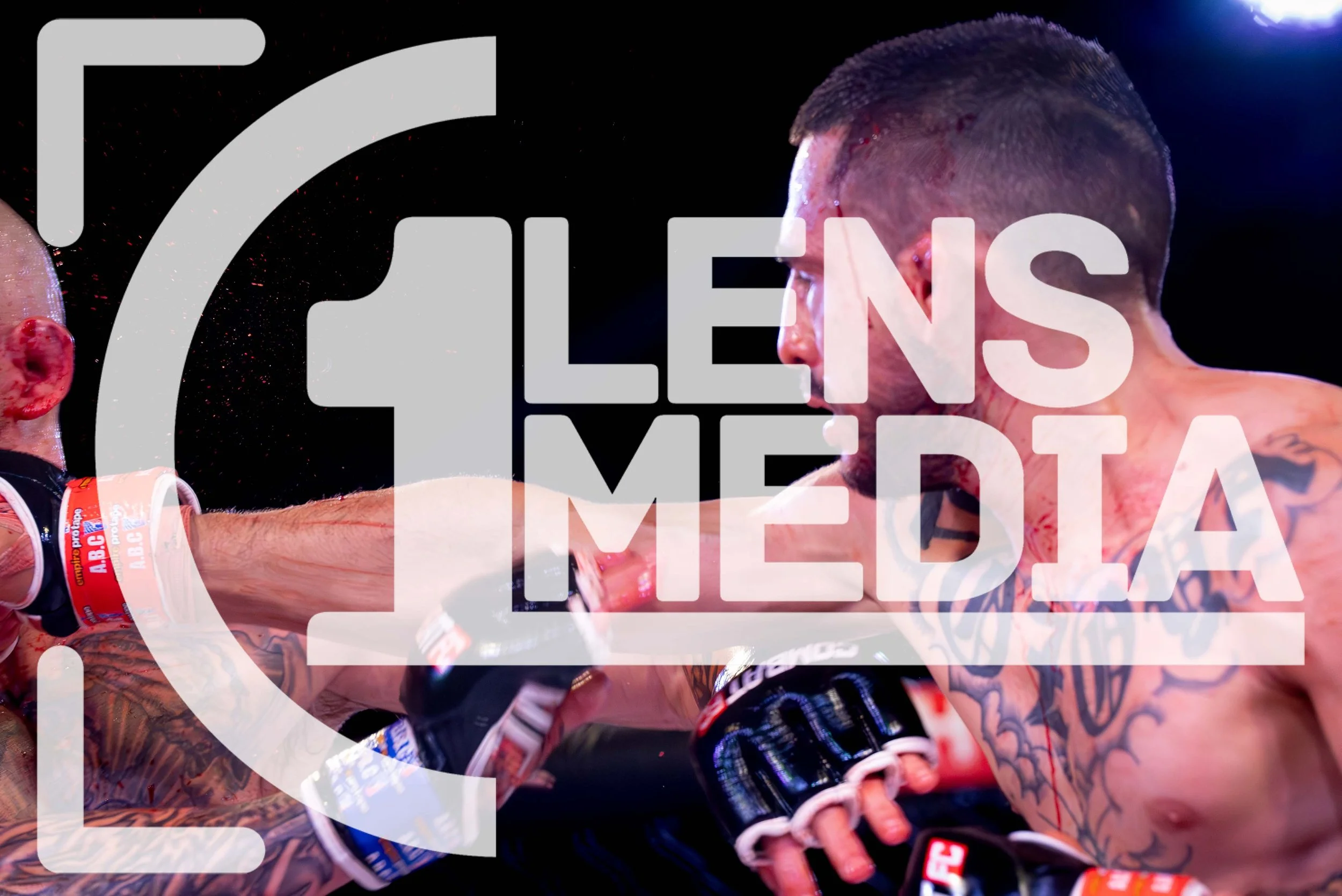 Tele_1556LR.jpg