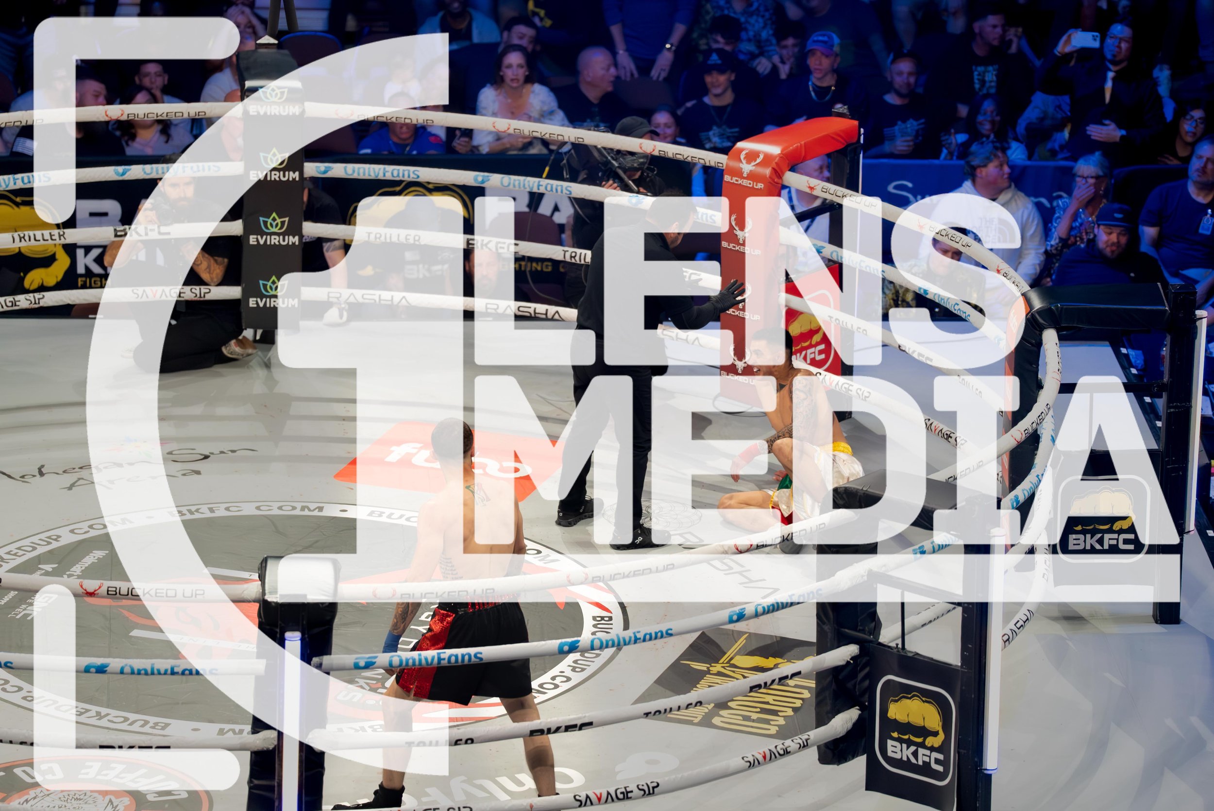BKFC_3514.jpg