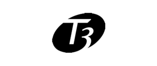 t3.png