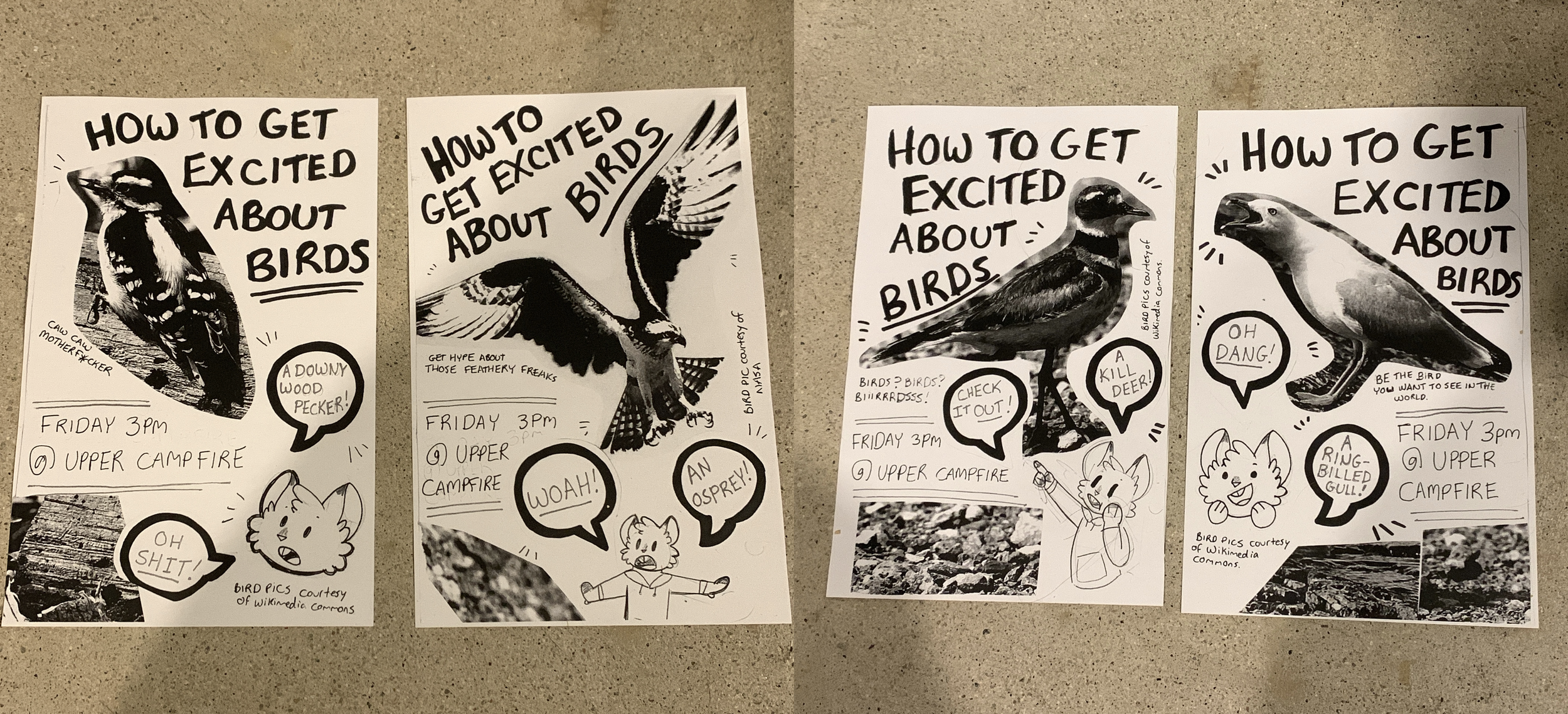 Classic punk-style Xerox flyers for a birdwatching workshop