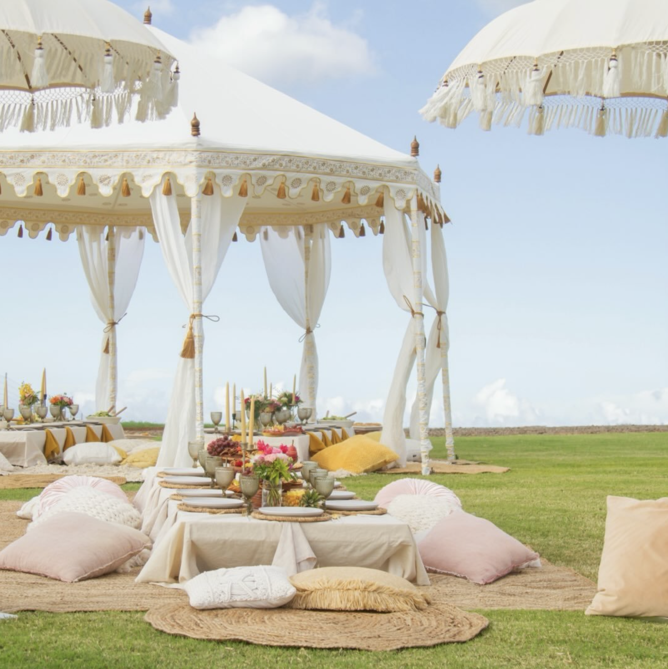 Maui Picnic for Proposals and private weddings elopements and events on Maui