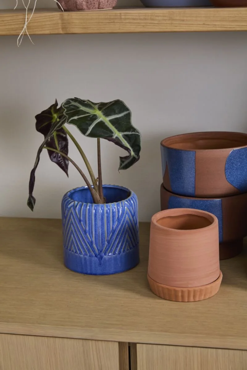 Refresh Pot (2).jpg