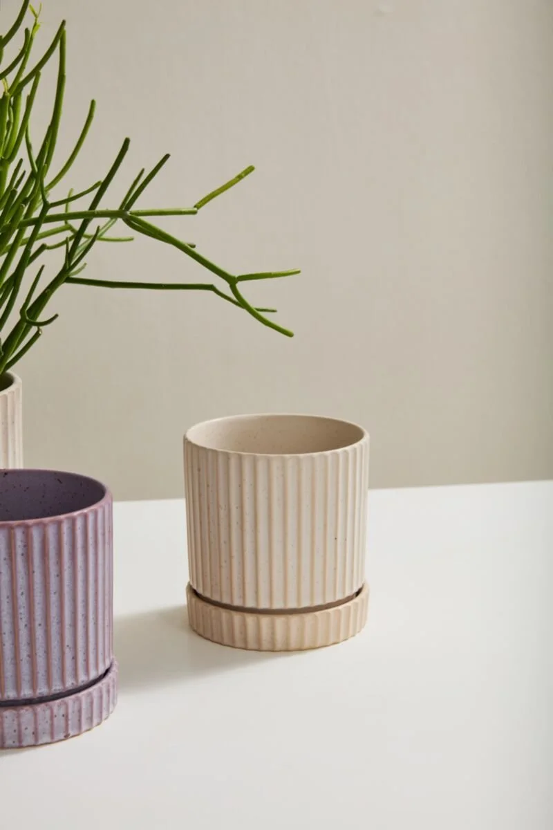 Los Feliz Pot with Saucer (4).jpg