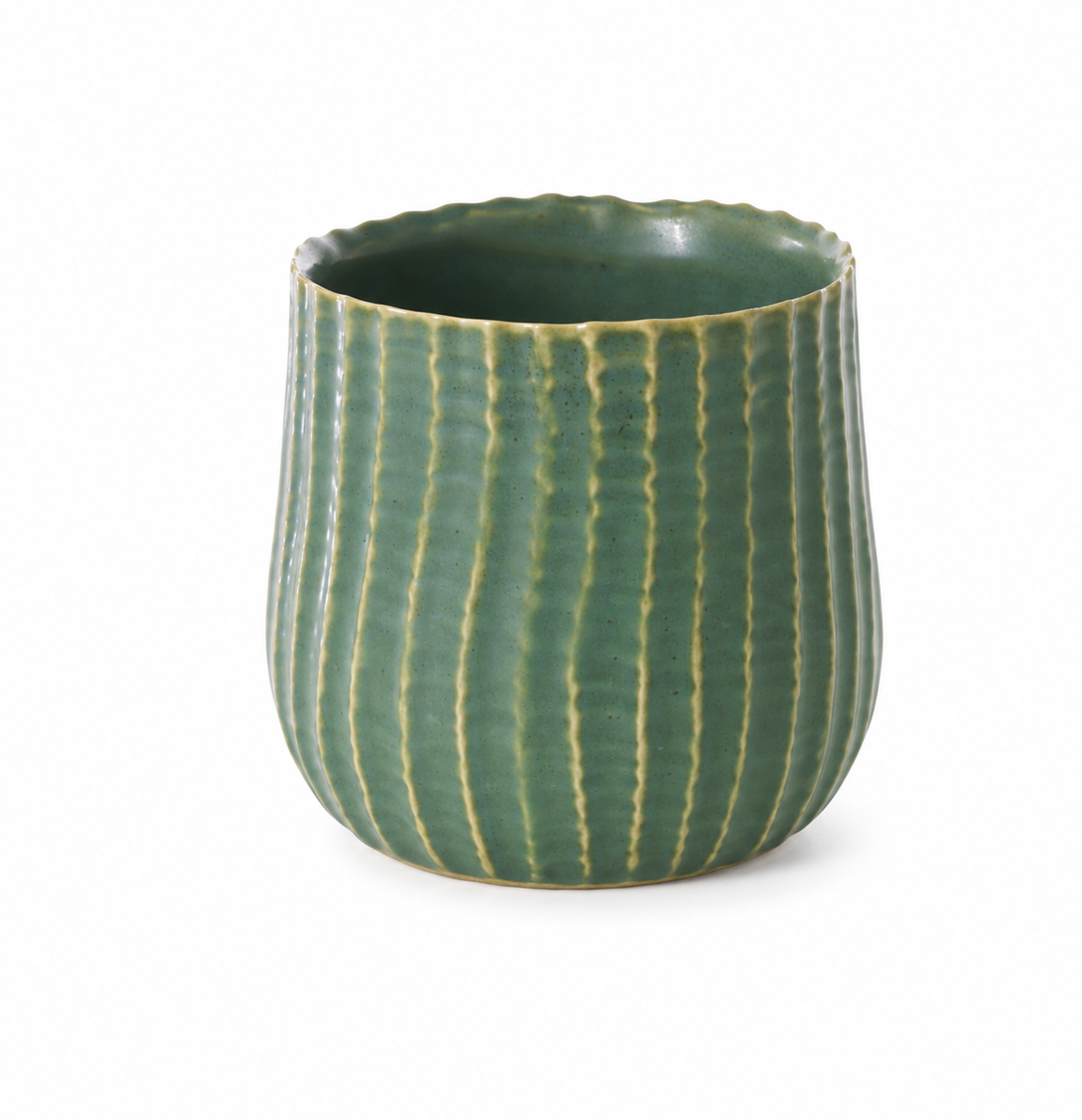 PalmeroPot (1).png