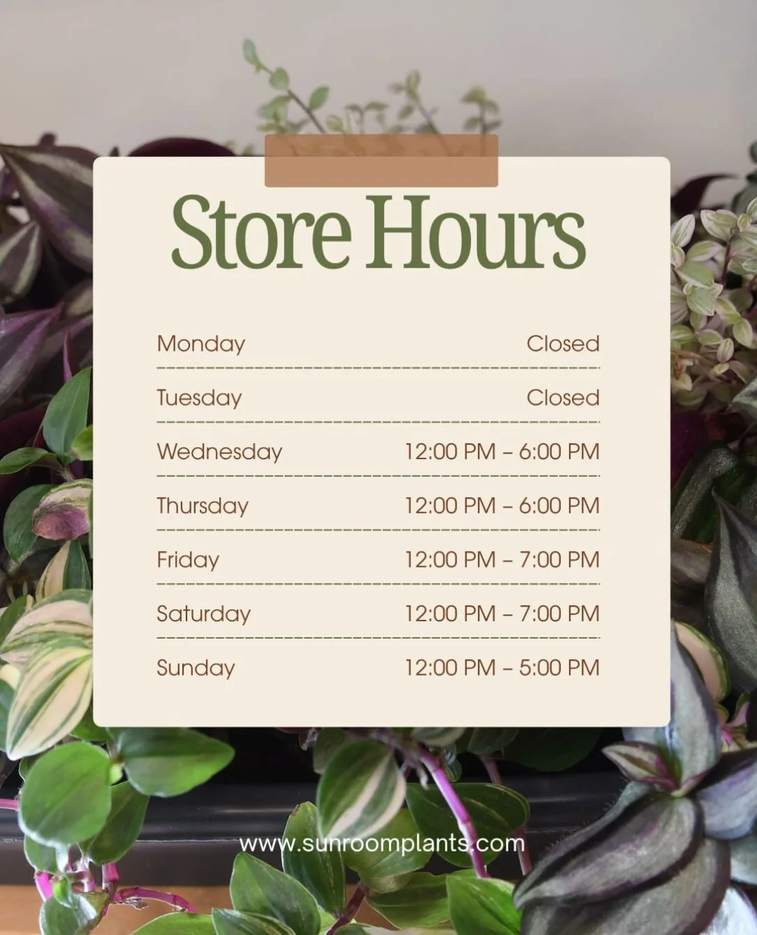 🌿 PLANT PEOPLE, HERE&rsquo;S WHEN YOU CAN STOP BY! 🪴

Need a little greenery in your life? Looking for your next plant obsession, a unique gift, or something to brighten up your space? We can&rsquo;t wait to see you at Sunroom Plants!

📍 OUR STORE