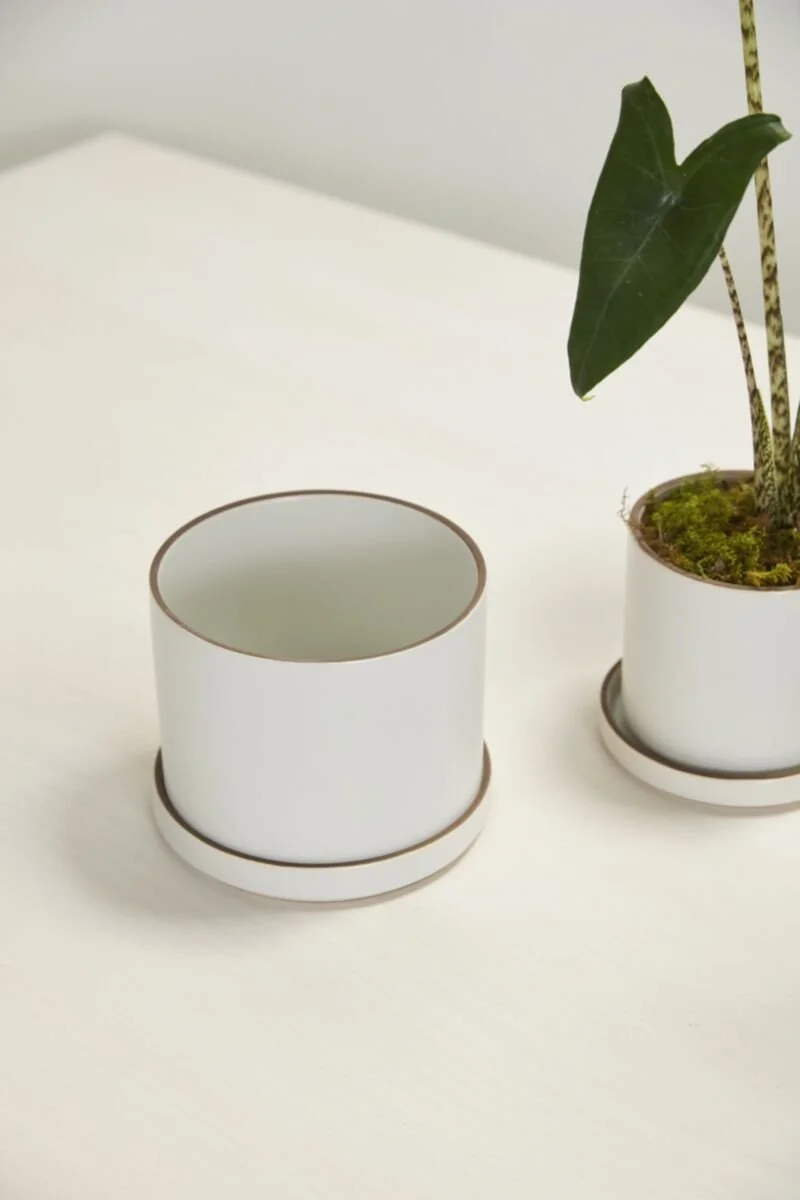 Author Pot with Saucer (2).jpg