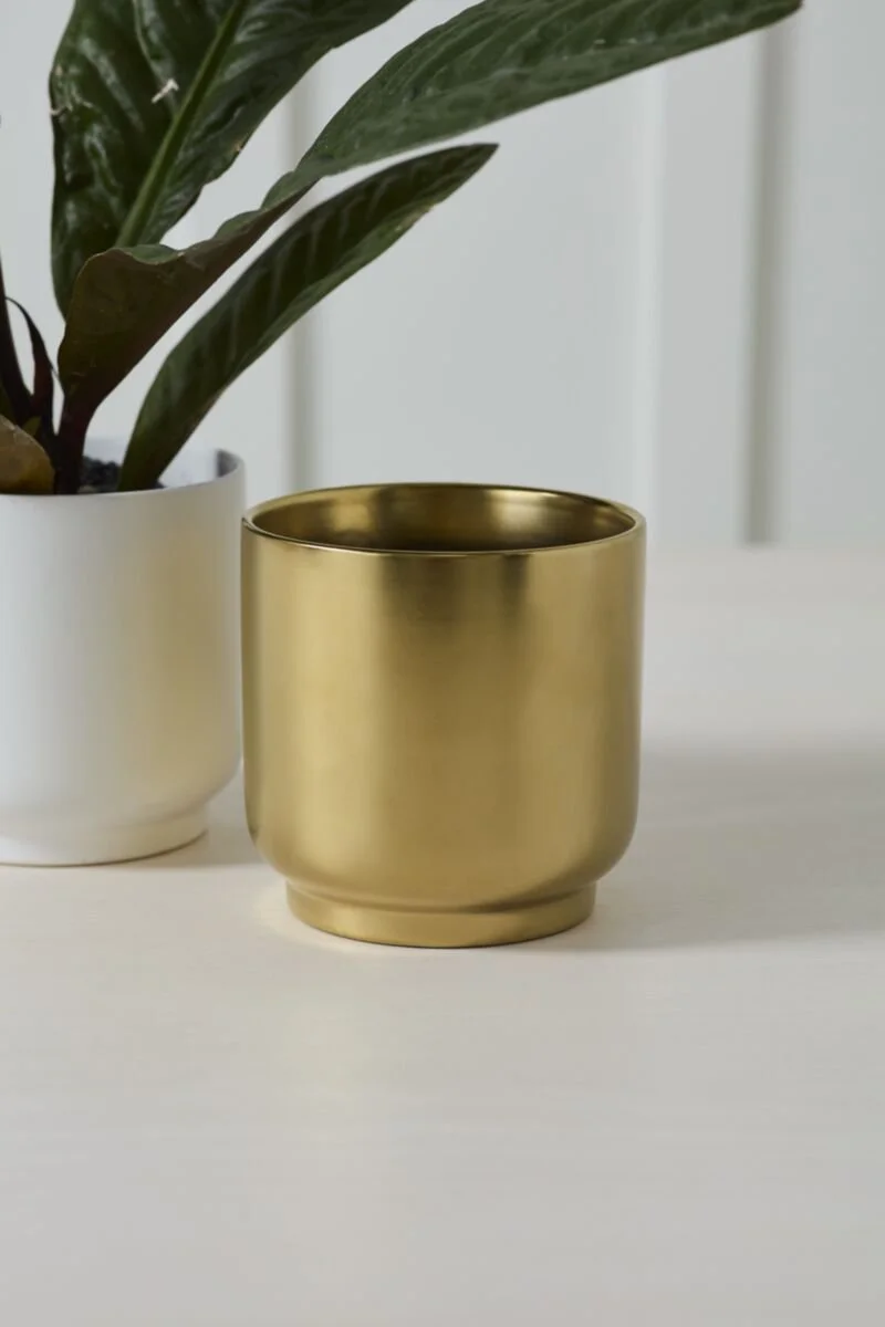 Kellen Pot (2).jpg