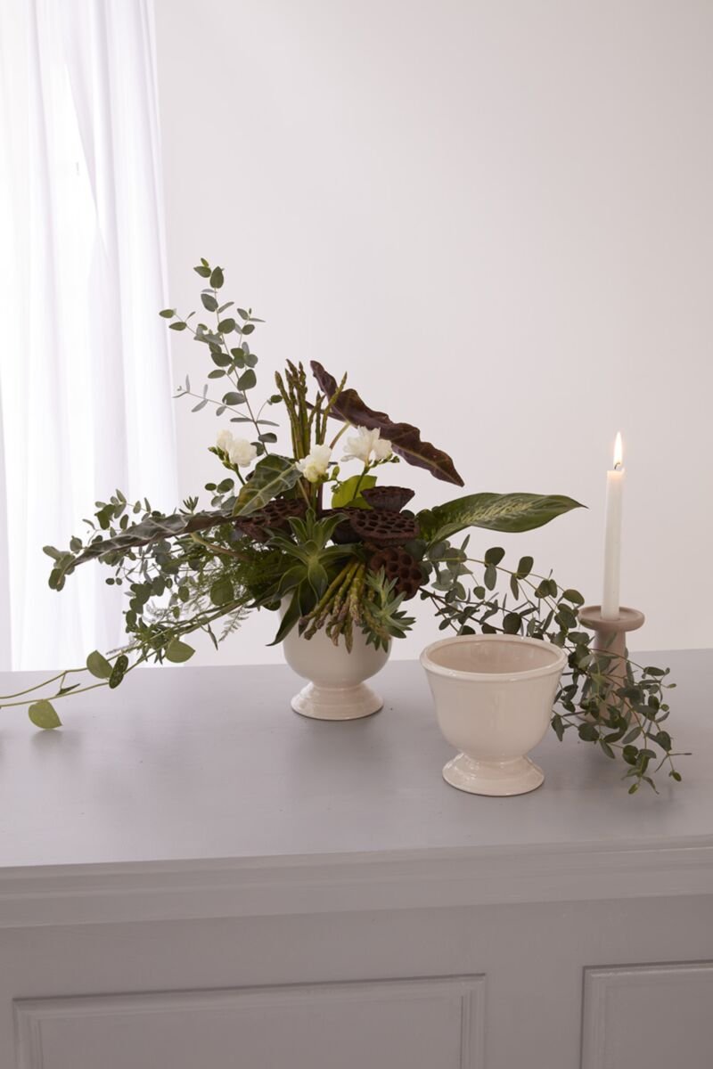Cara Compote White (2).jpg