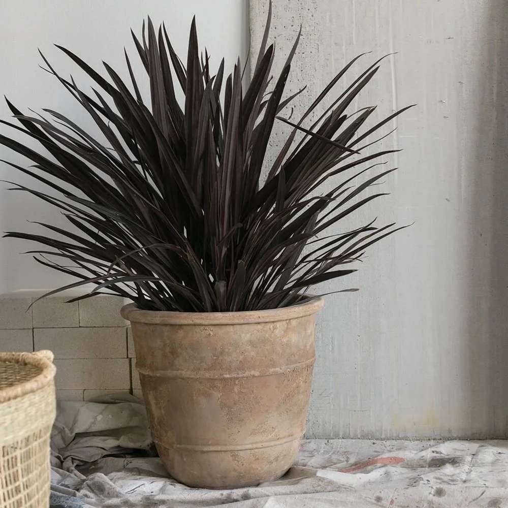 Monteclair+Planter+%282%29.jpg