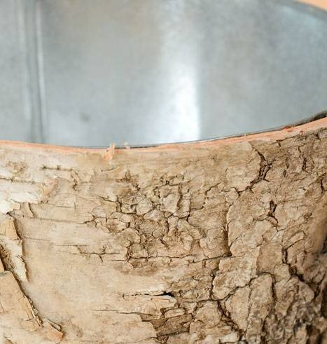 BirchNatural1.jpg