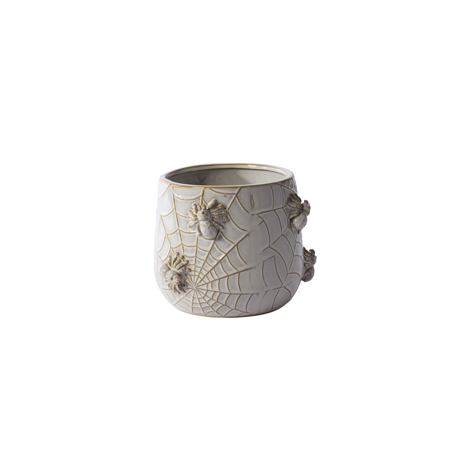 House Spider Pot (1).jpg