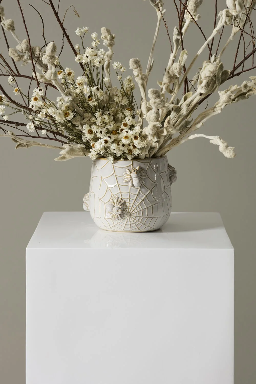 House Spider Pot (3).jpg