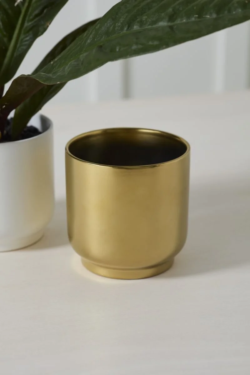 Kellen Pot (3).jpg