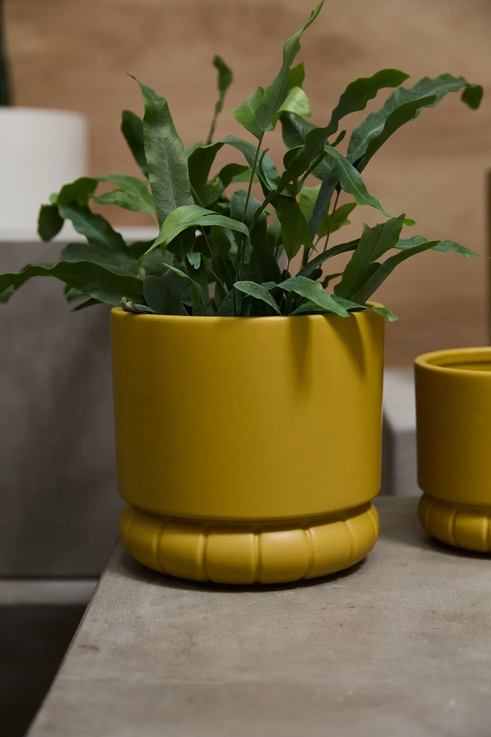 Fara Pot (1).jpg