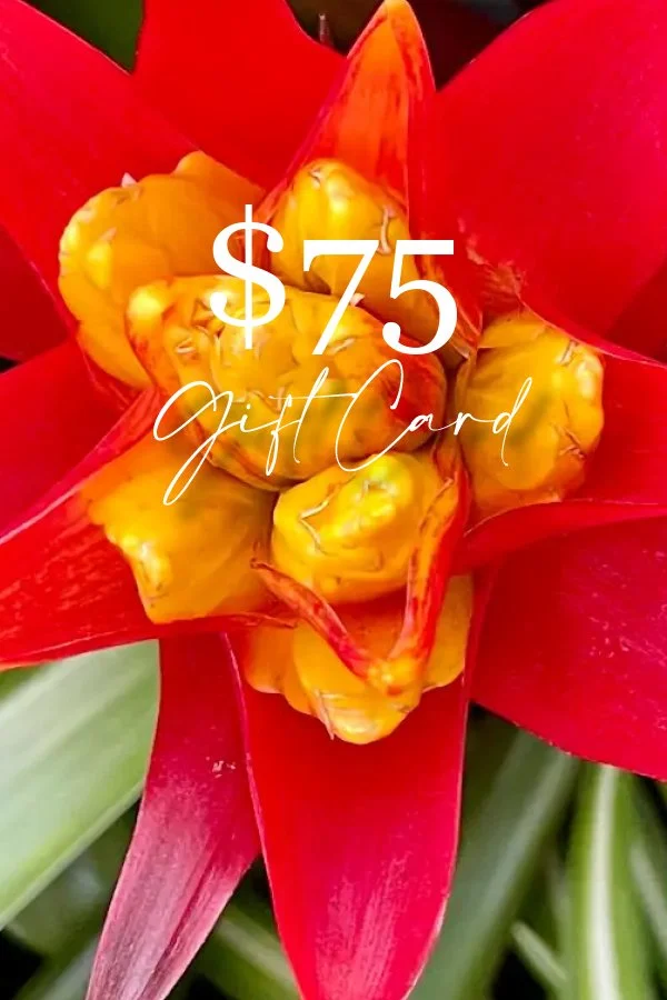 $75 Gift Card