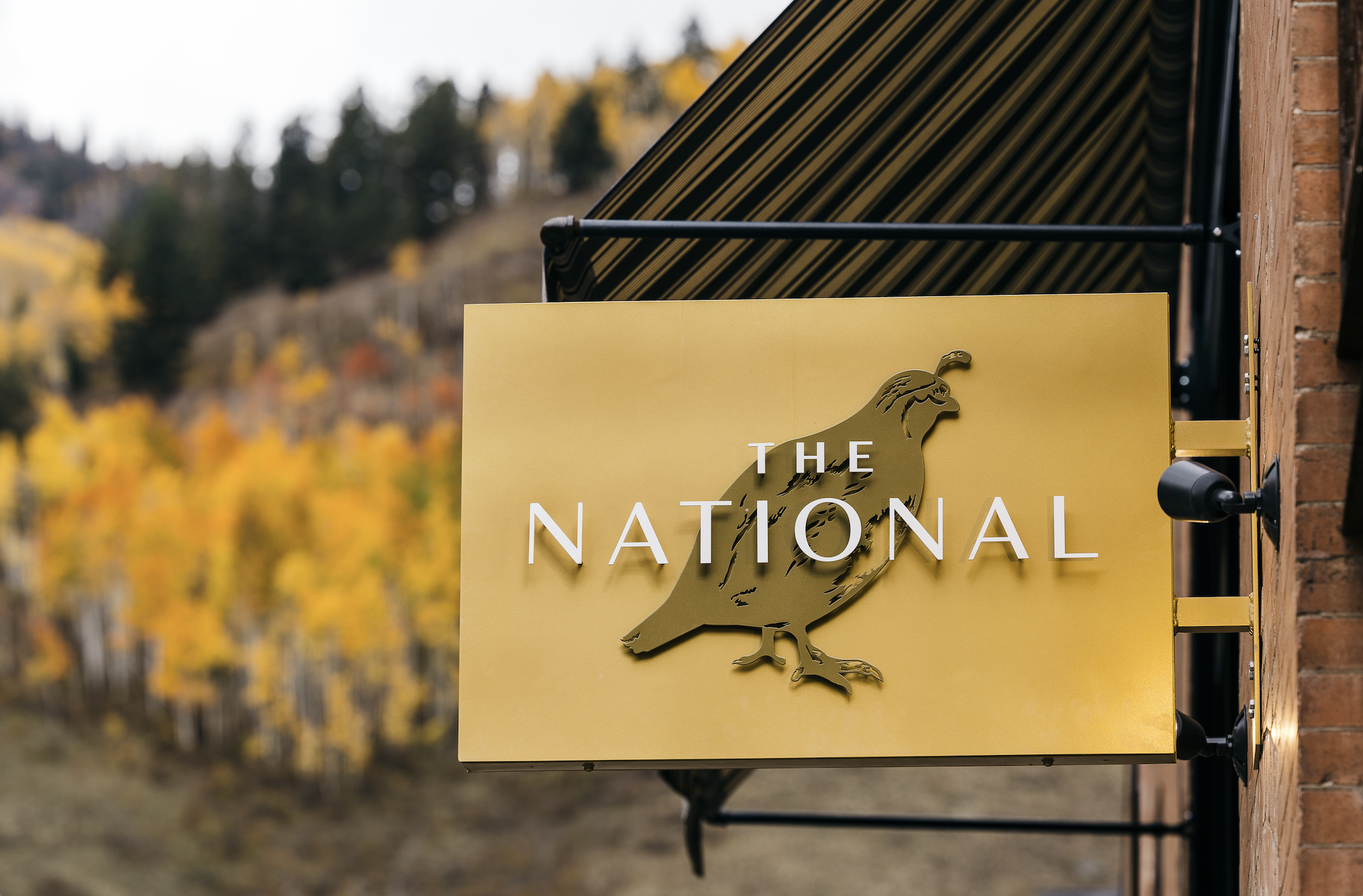 11 Rave-Worthy Restaurants in Telluride, Colorado