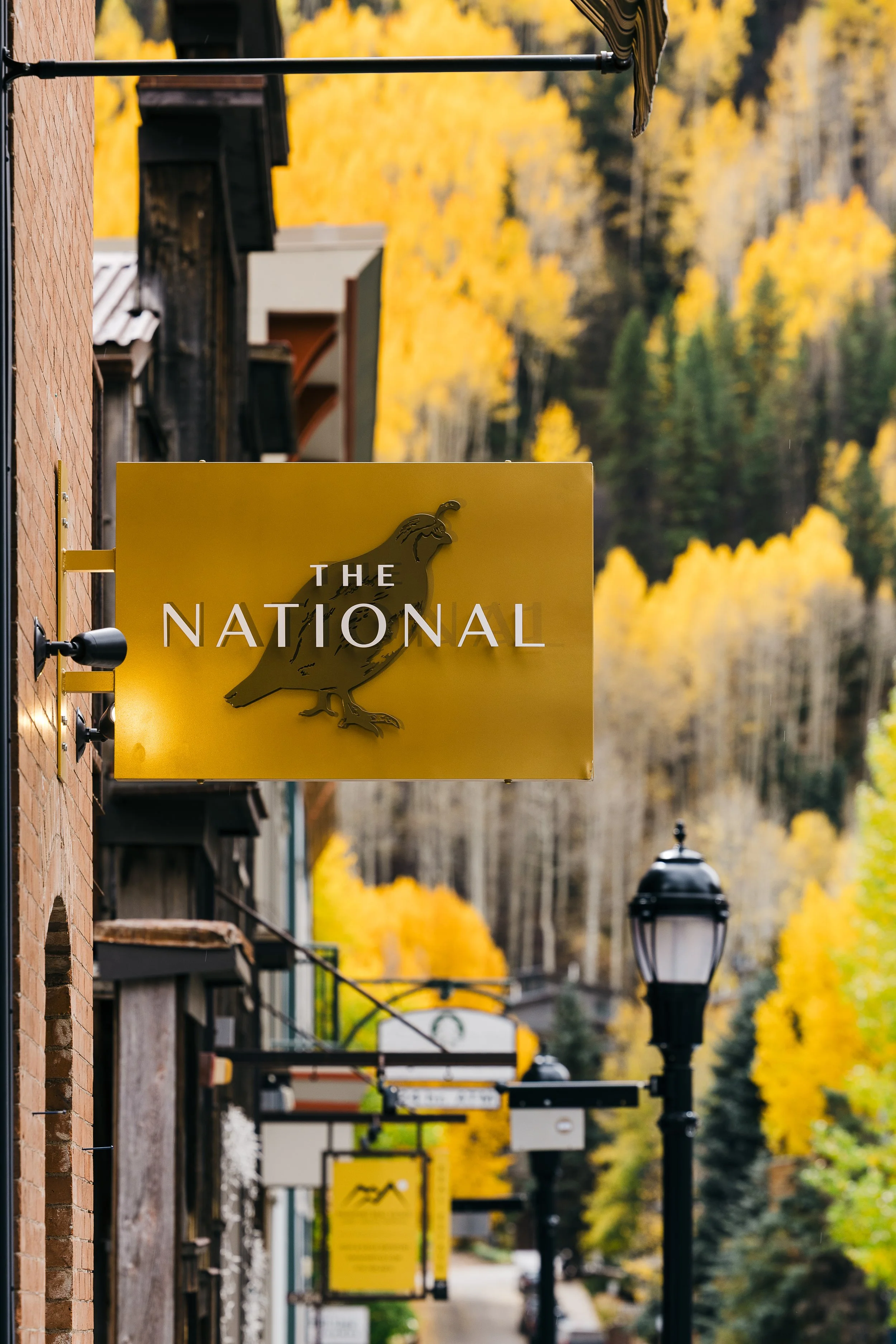 006-National-Fall25.jpg