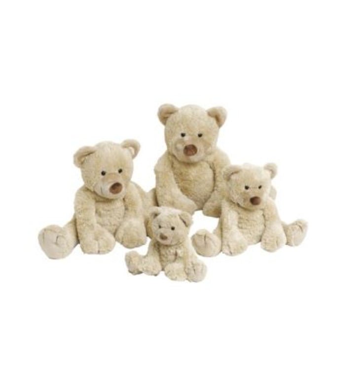 bear_boogy_all_sizes_24768c4a-0201-4d7b-be7c-54a69a1199b8.jpg