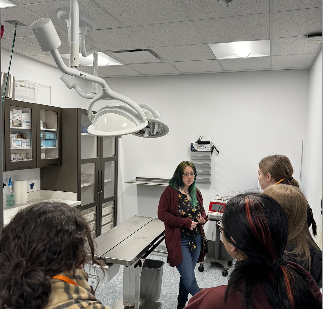 Screenshot 2024-06-11 at 12.07.06 PM.png