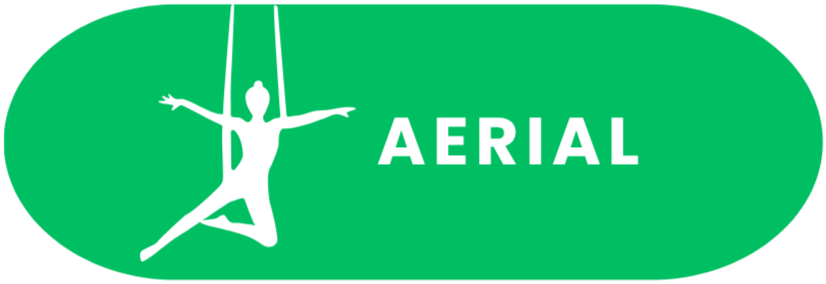 Green oval sign with a white silhouette of an aerial silk performer hanging upside down with arms and legs outstretched, and the word 'AERIAL' in white capital letters.