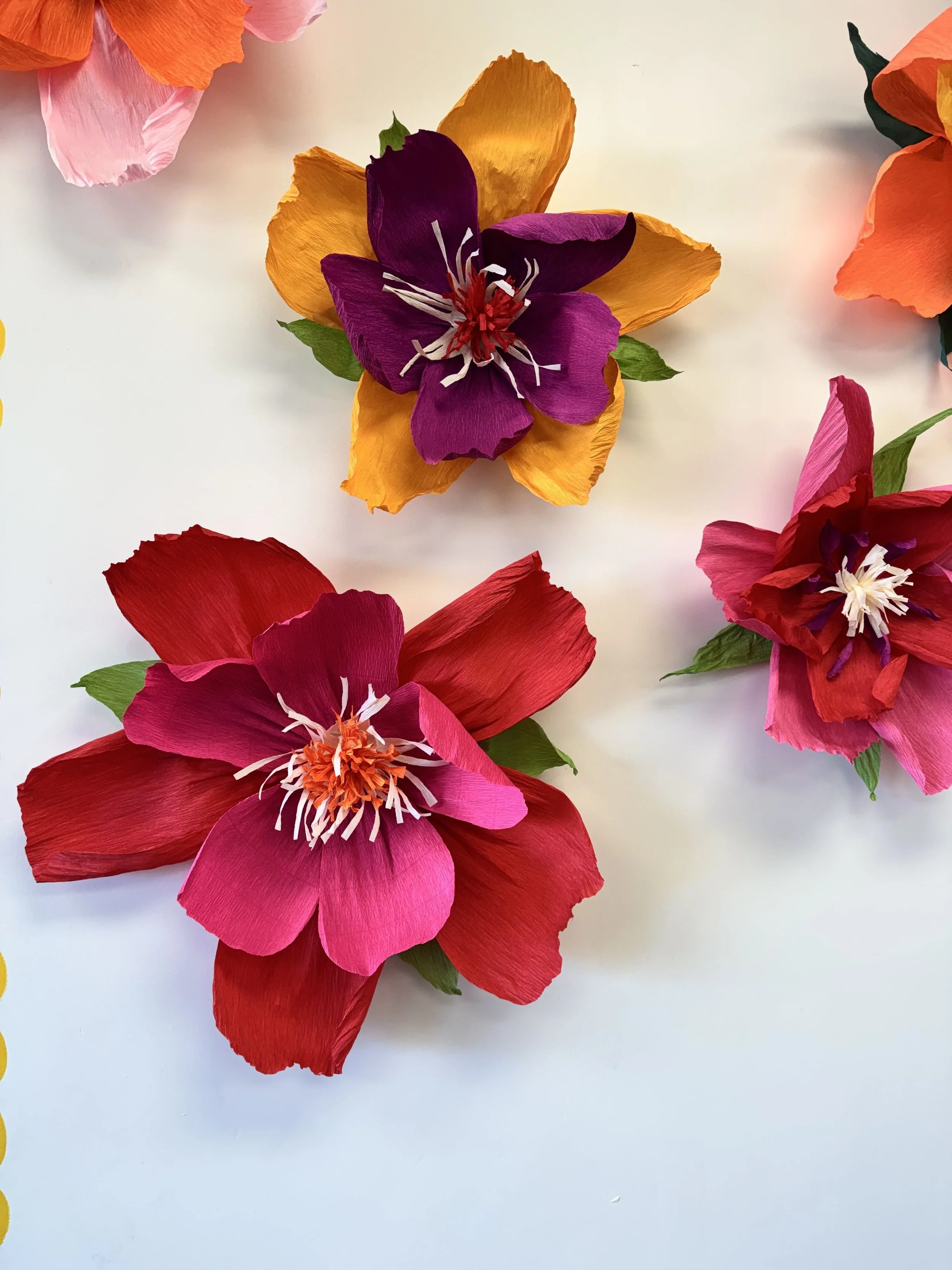 Giant Paper Flowers - Workshop for Adult Moxie Makers  |  SEPT 24TH