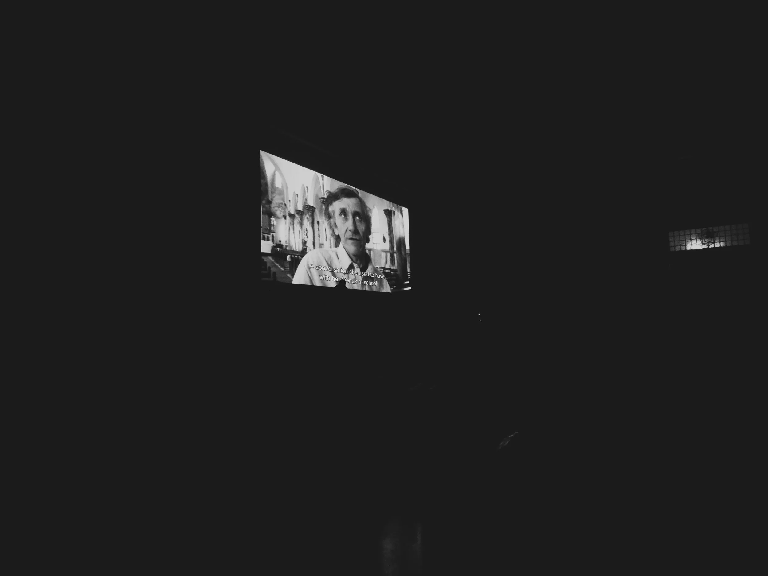 cine vivo 2.JPG