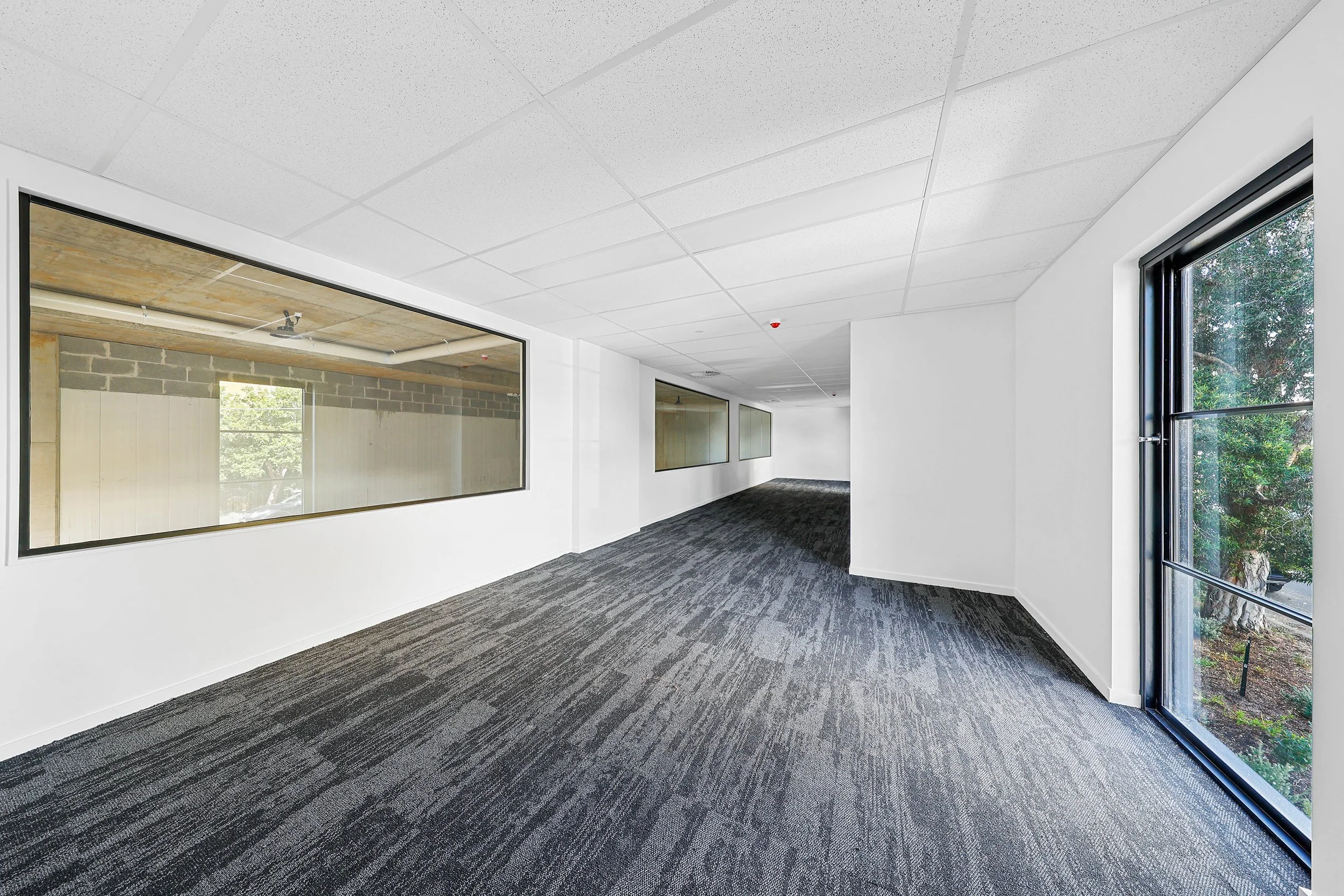 Elevate 27_Profile Property Group_WurrookHR_13.jpg