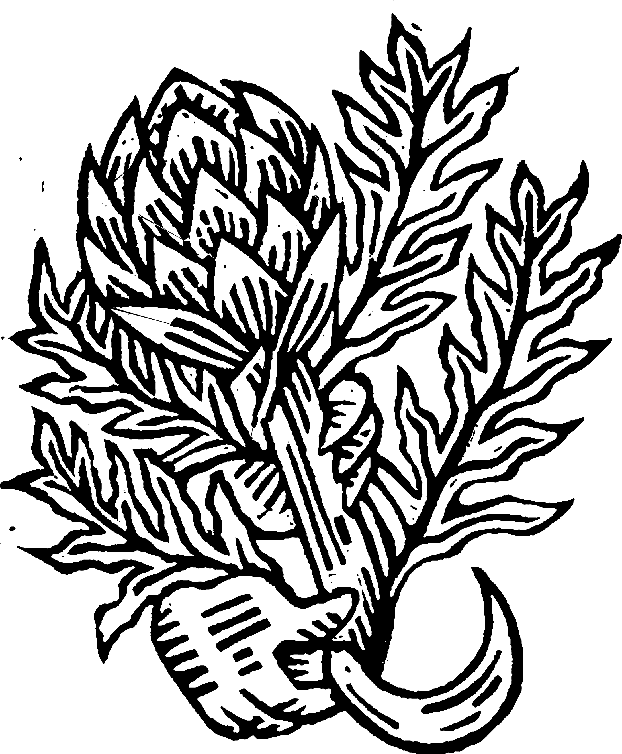 Asset 2@6x.png