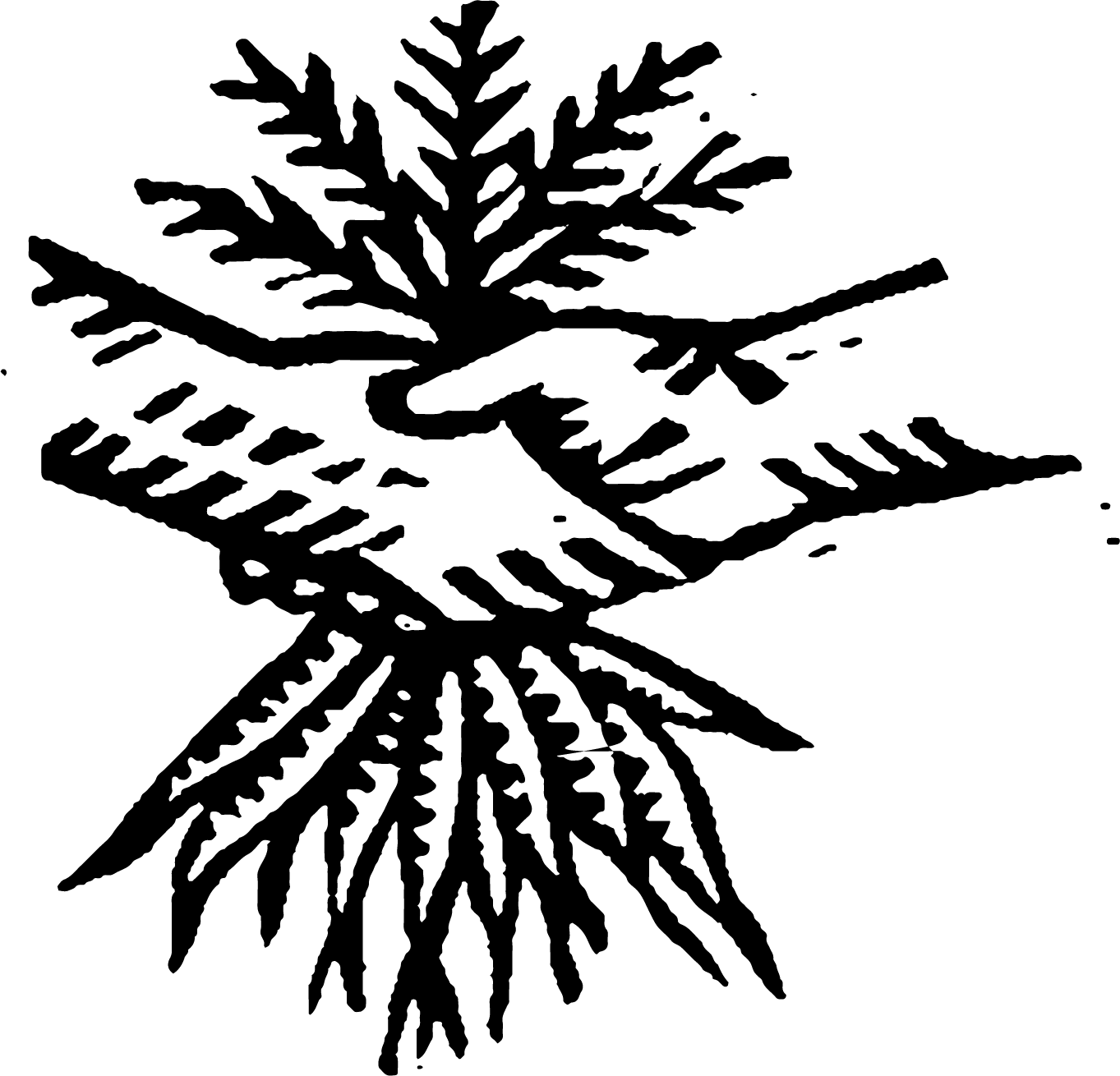 Asset 8@6x.png