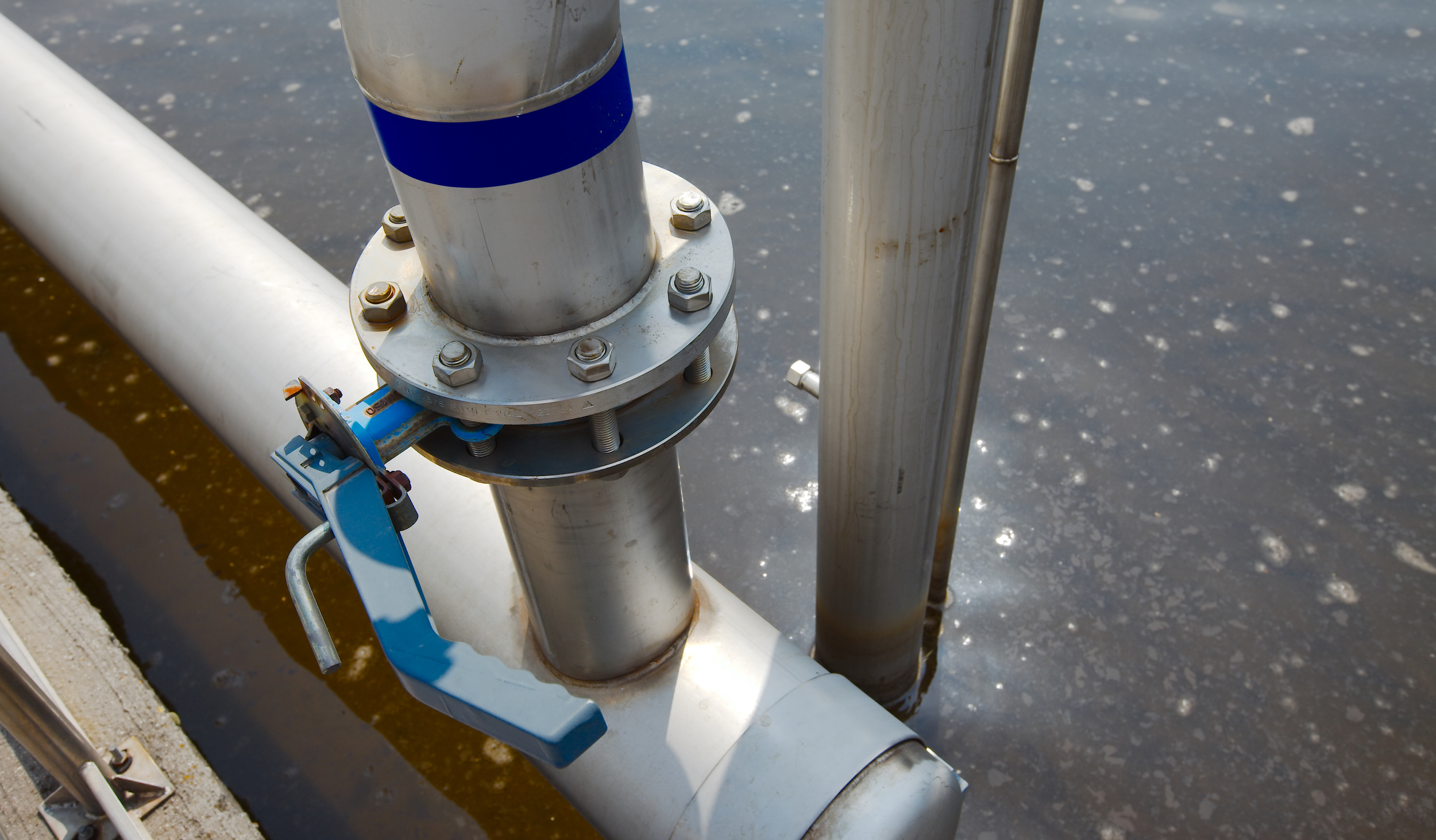 Untitled design-4.png