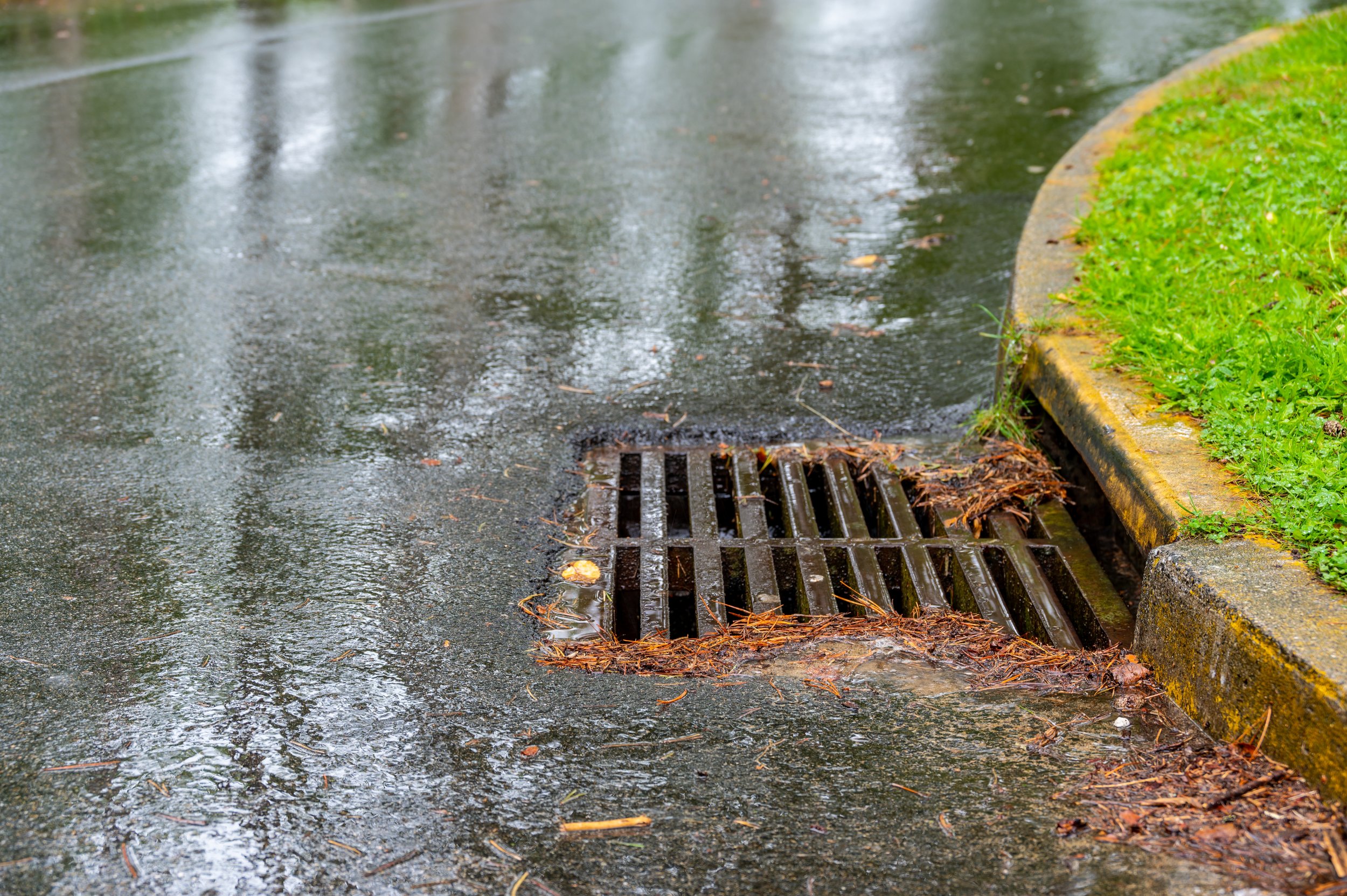 Rain-soaked street drain with water runoff and small leaves on the metallic grate, next to a grassy curb.