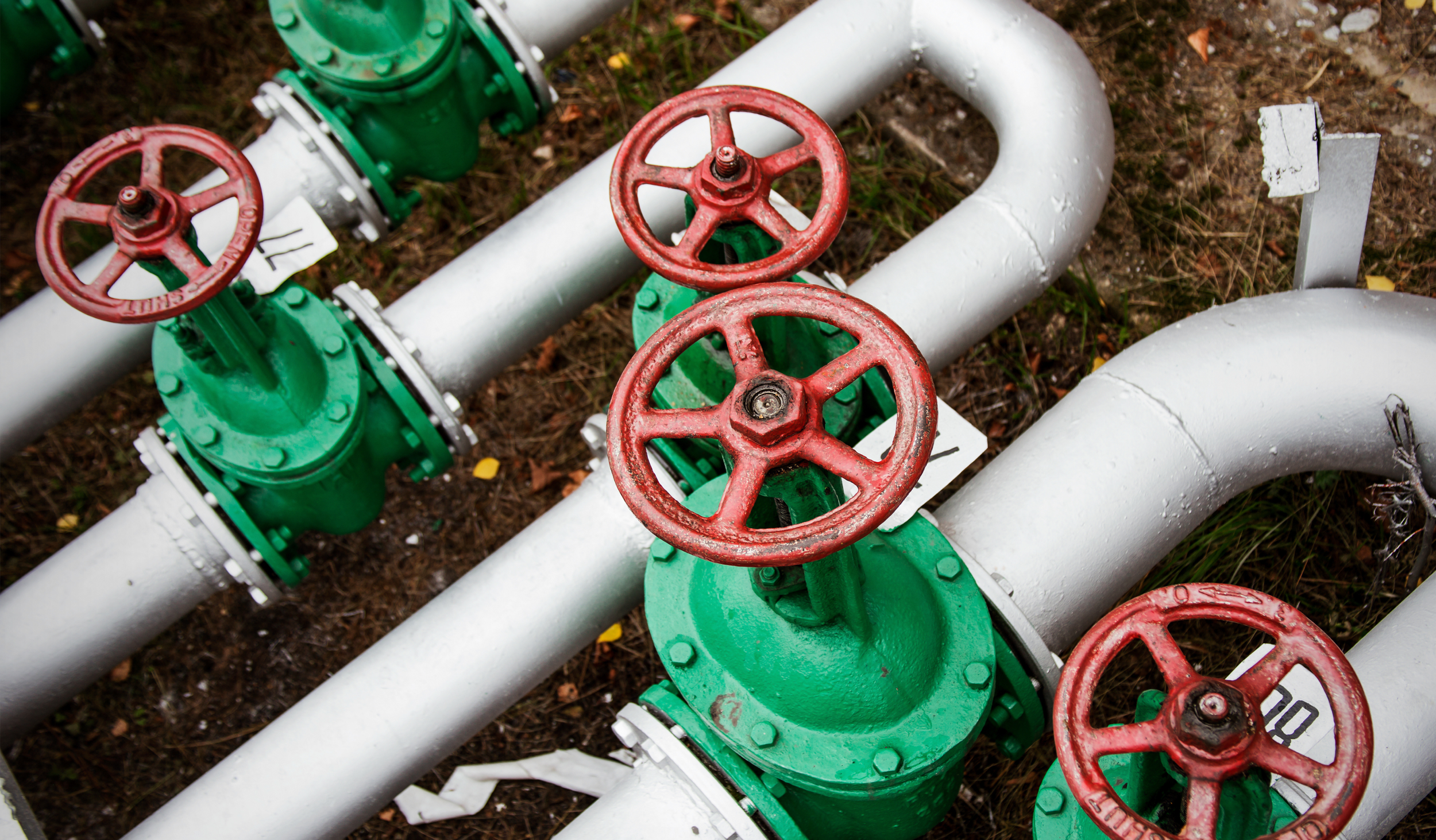 Untitled design-2.png