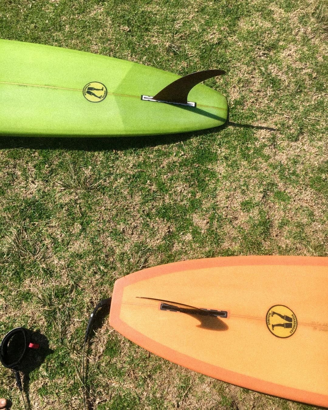 Boardwalks Malibus on Instagram_ “Risky day to be a mal 🌴🍌”.jpeg