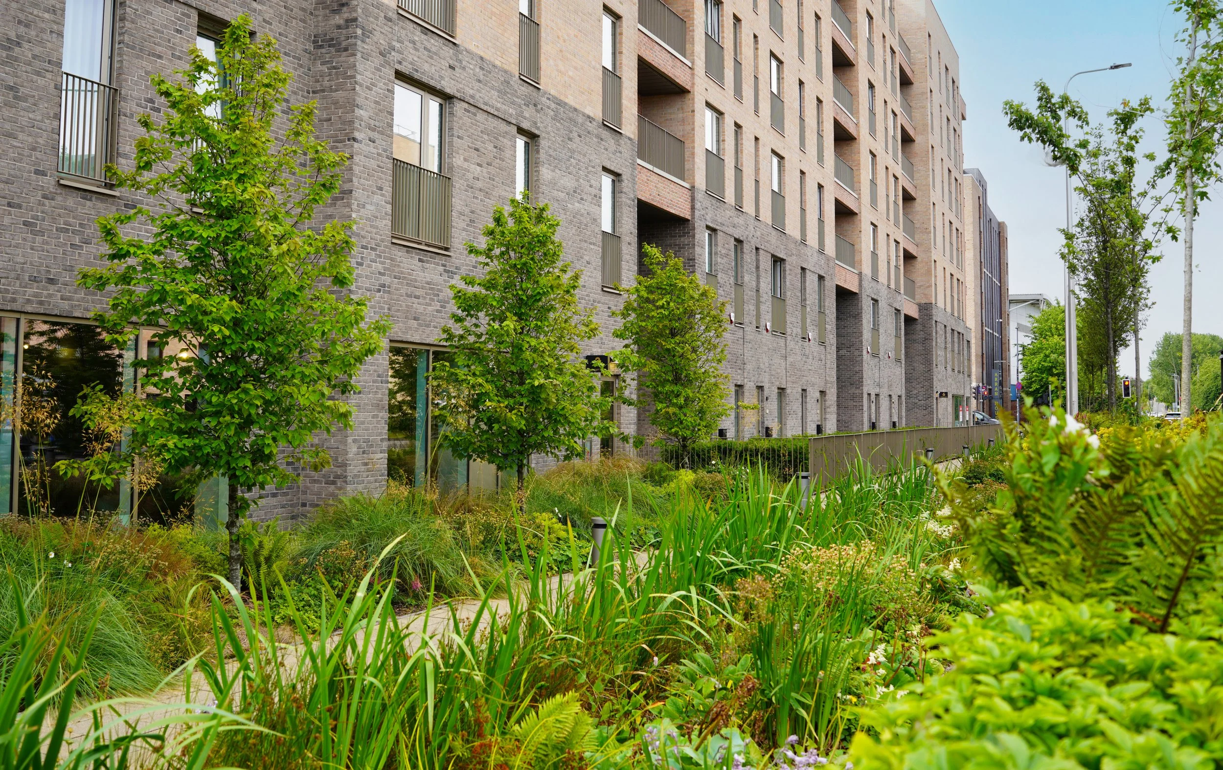 OOBE Ltd - MODA, McEwan Fountainbridge_sky.jpg