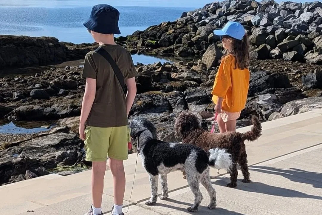 Millport Flood Defence Scheme