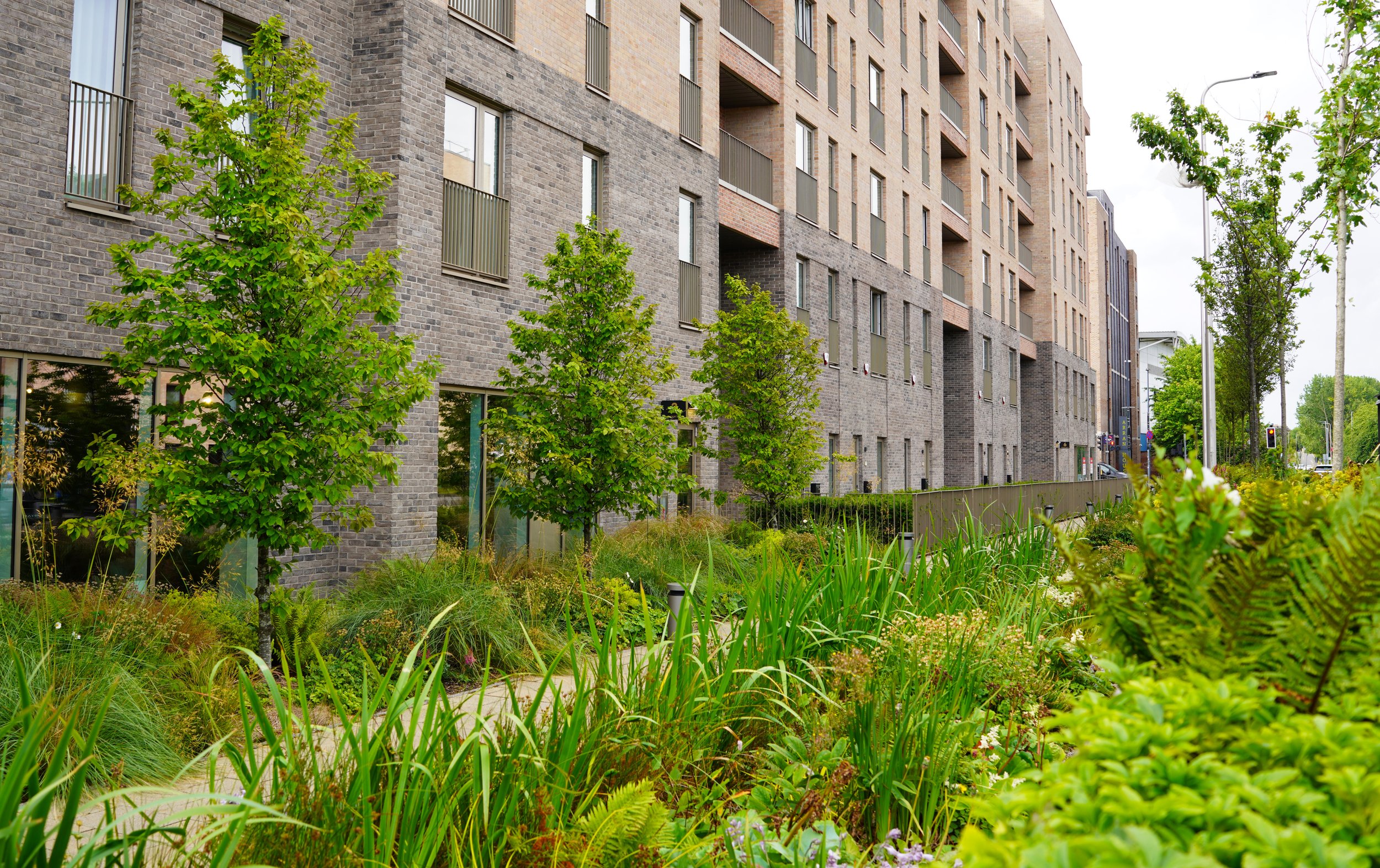 OOBE Ltd - MODA, McEwan Fountainbridge 2.jpg