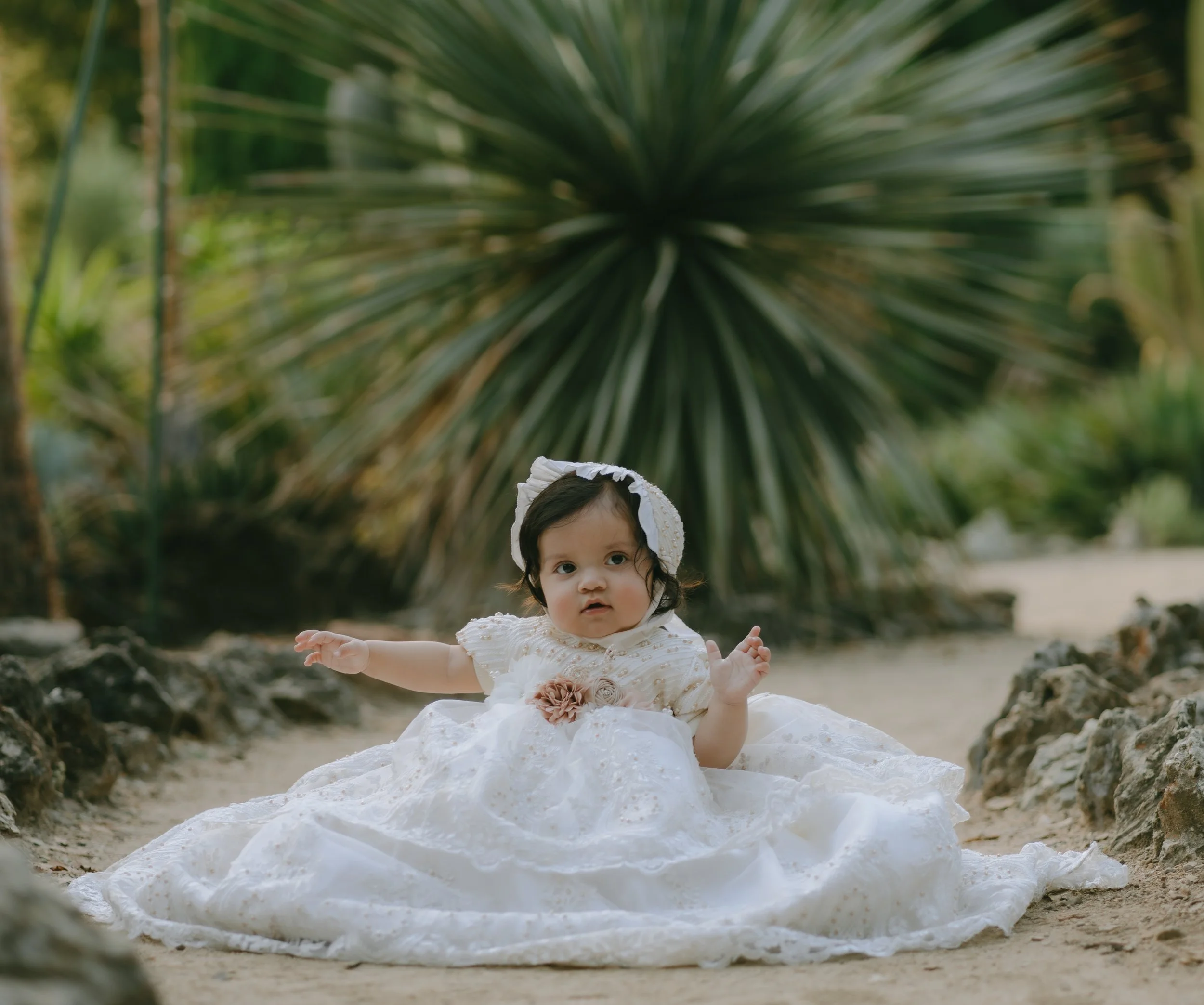 DSC00825-Enhanced-NR (1).jpg